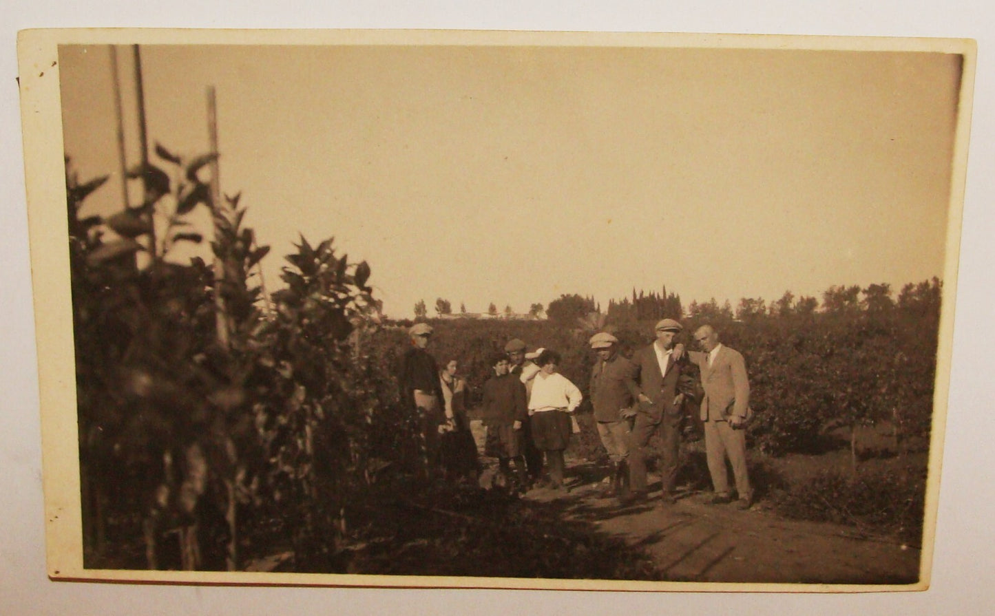 Photo Palestine Card Jewish Judaica 1928 Israel Postcard Ramat Gan Petach Tikva