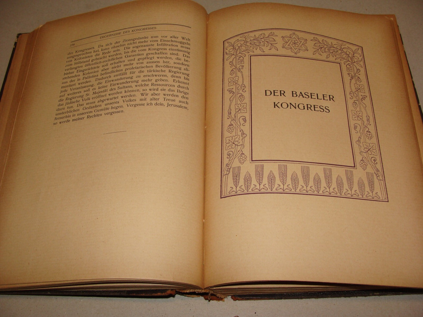 Germany Book Jewish Judaica HERZL Zionist Zionistische Schriften German 1ST 1905