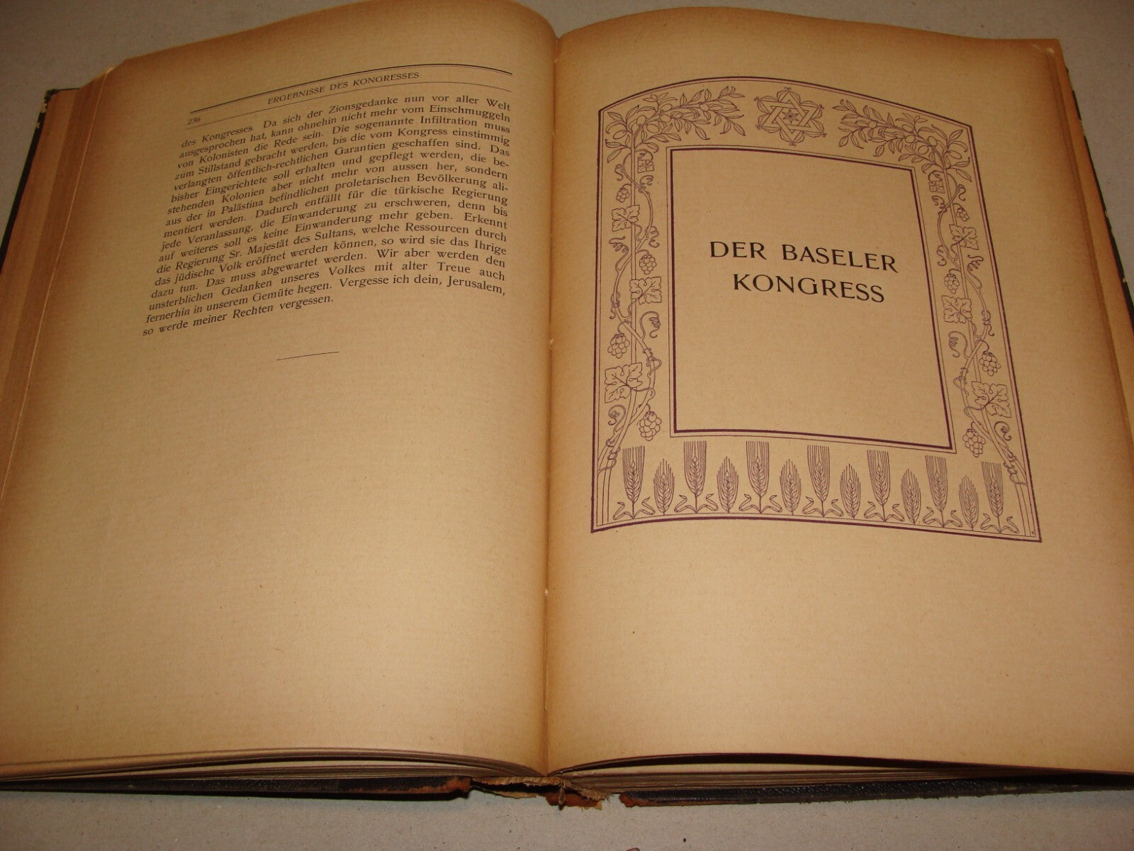 Germany Book Jewish Judaica HERZL Zionist Zionistische Schriften German 1ST 1905