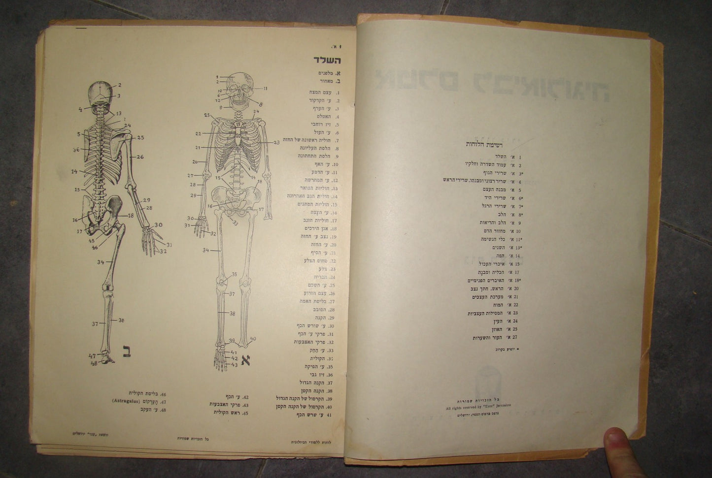 Book Jewish hebrew palestine eretz israel Biology Atlas by Ever Science Zvi Lev