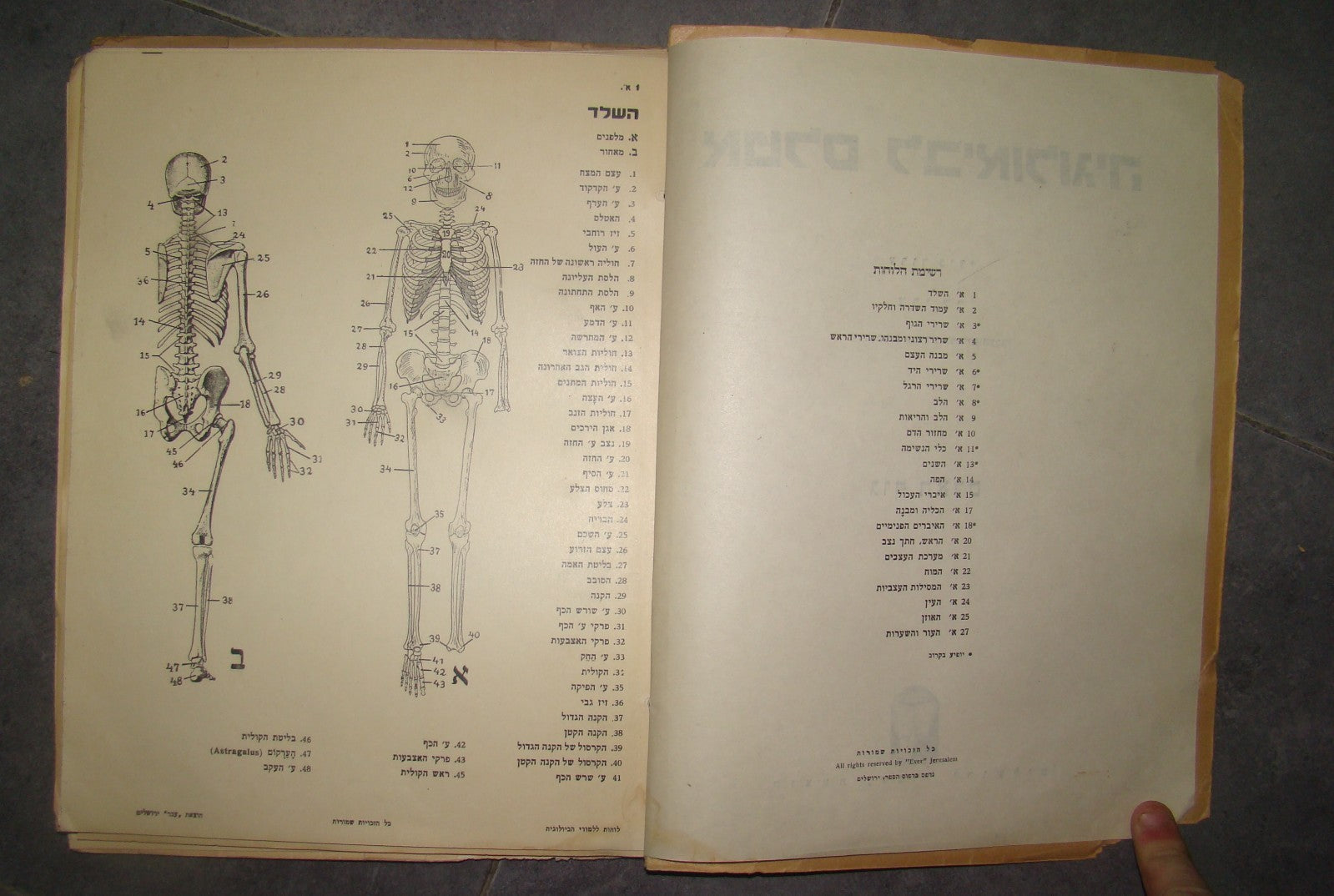 Book Jewish hebrew palestine eretz israel Biology Atlas by Ever Science Zvi Lev