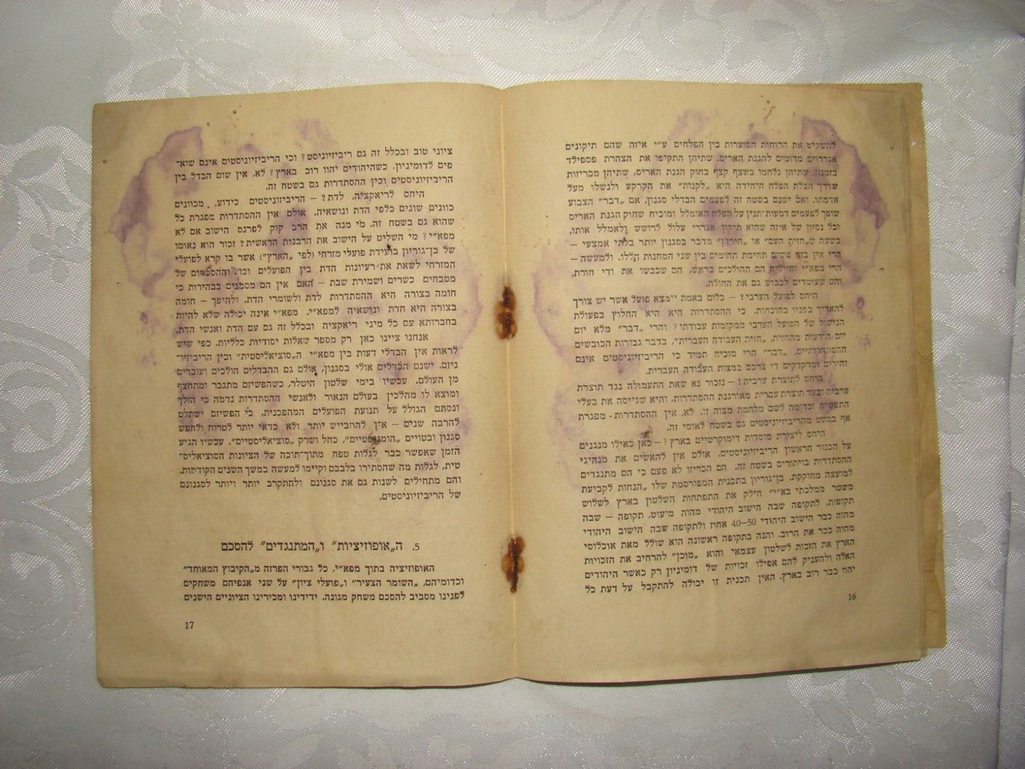 Book Jewish Palestine Israel 1935 Ben Gurion Zabotinsky Zionist Protest Betar