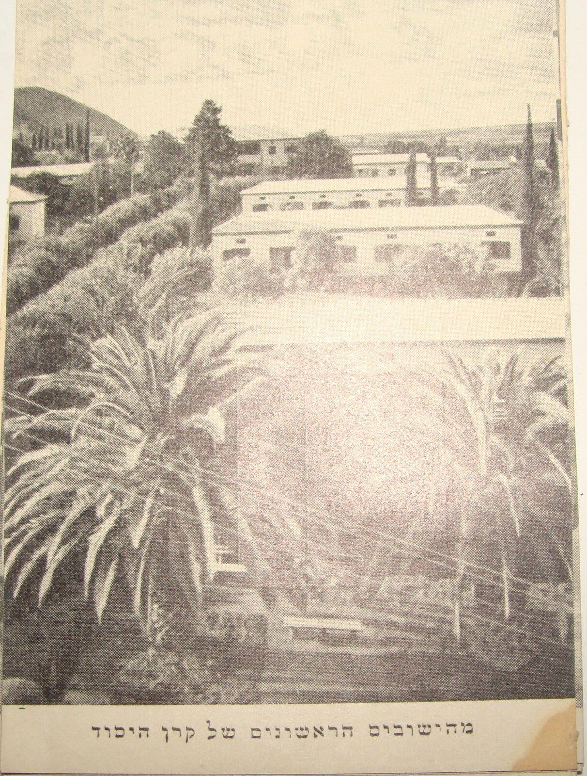 $ Keren Hayesod Palestine Jewish Hebrew Israel Zionist Philanthropy