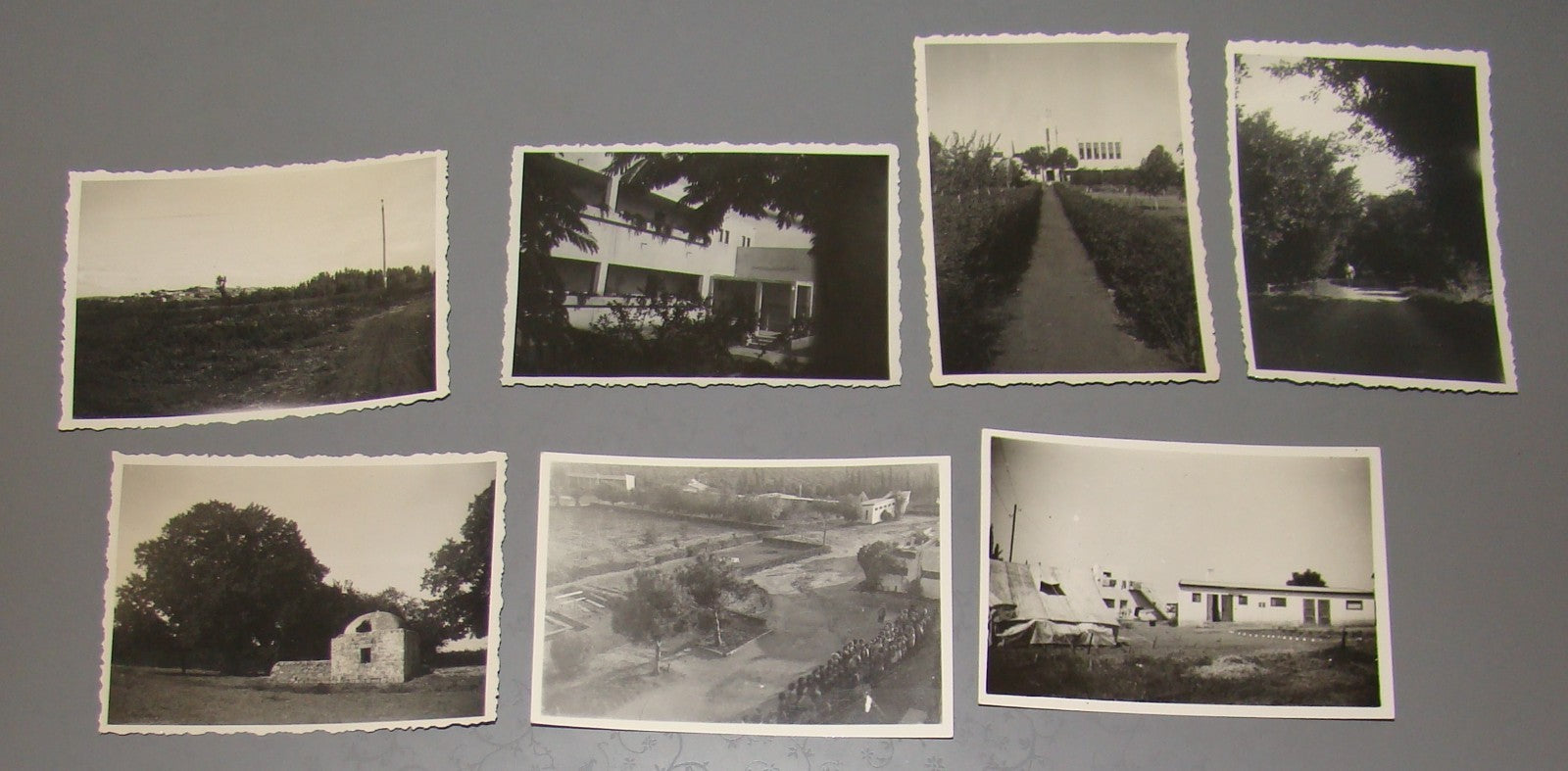 jewish palestine israel 1943 Ayanot youth village ww2 holocaust survivors photos