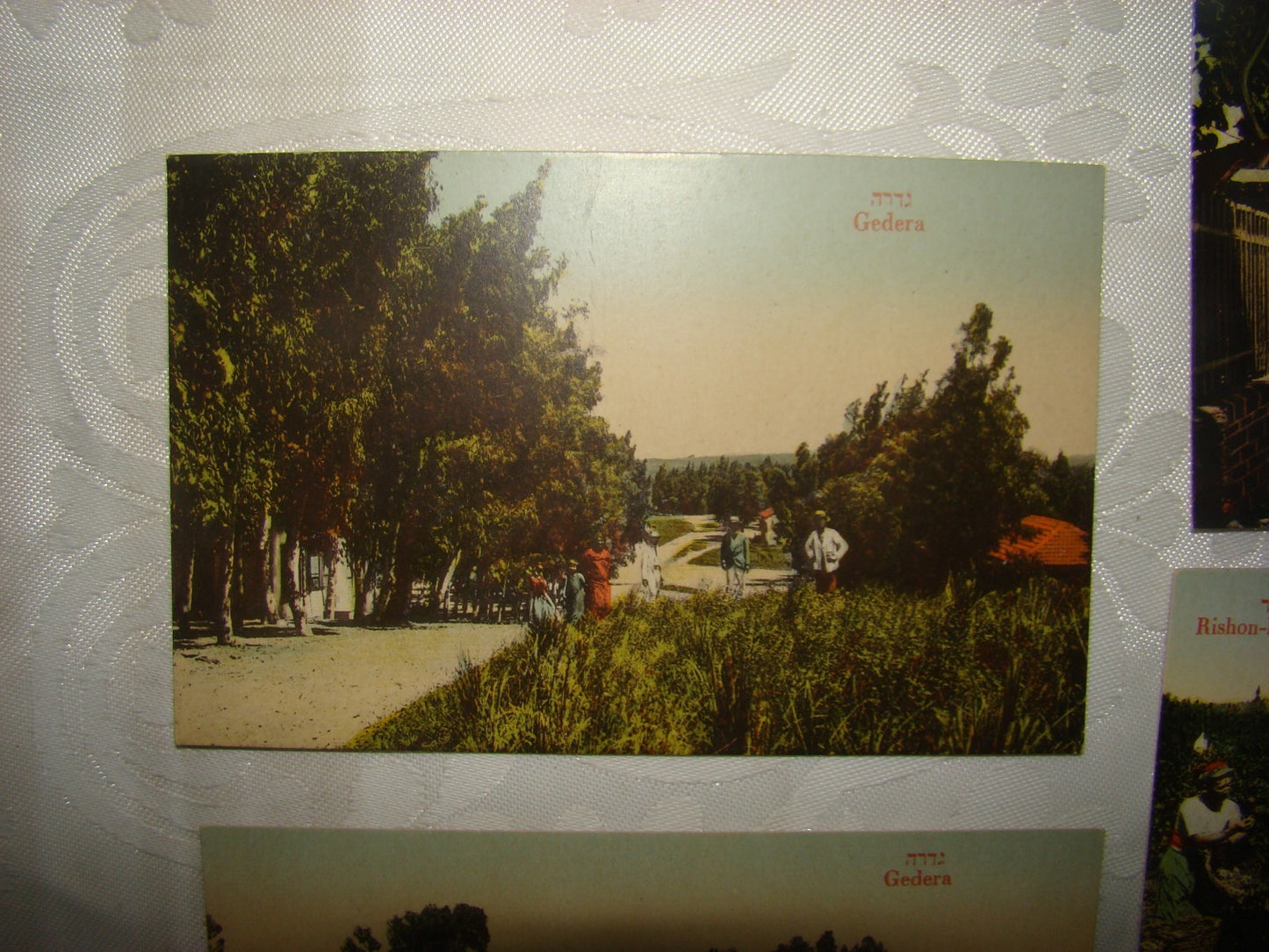 Photo Palestine Card hebrew jewish Israel Moshe Ordmann postcard Rishon LeZion