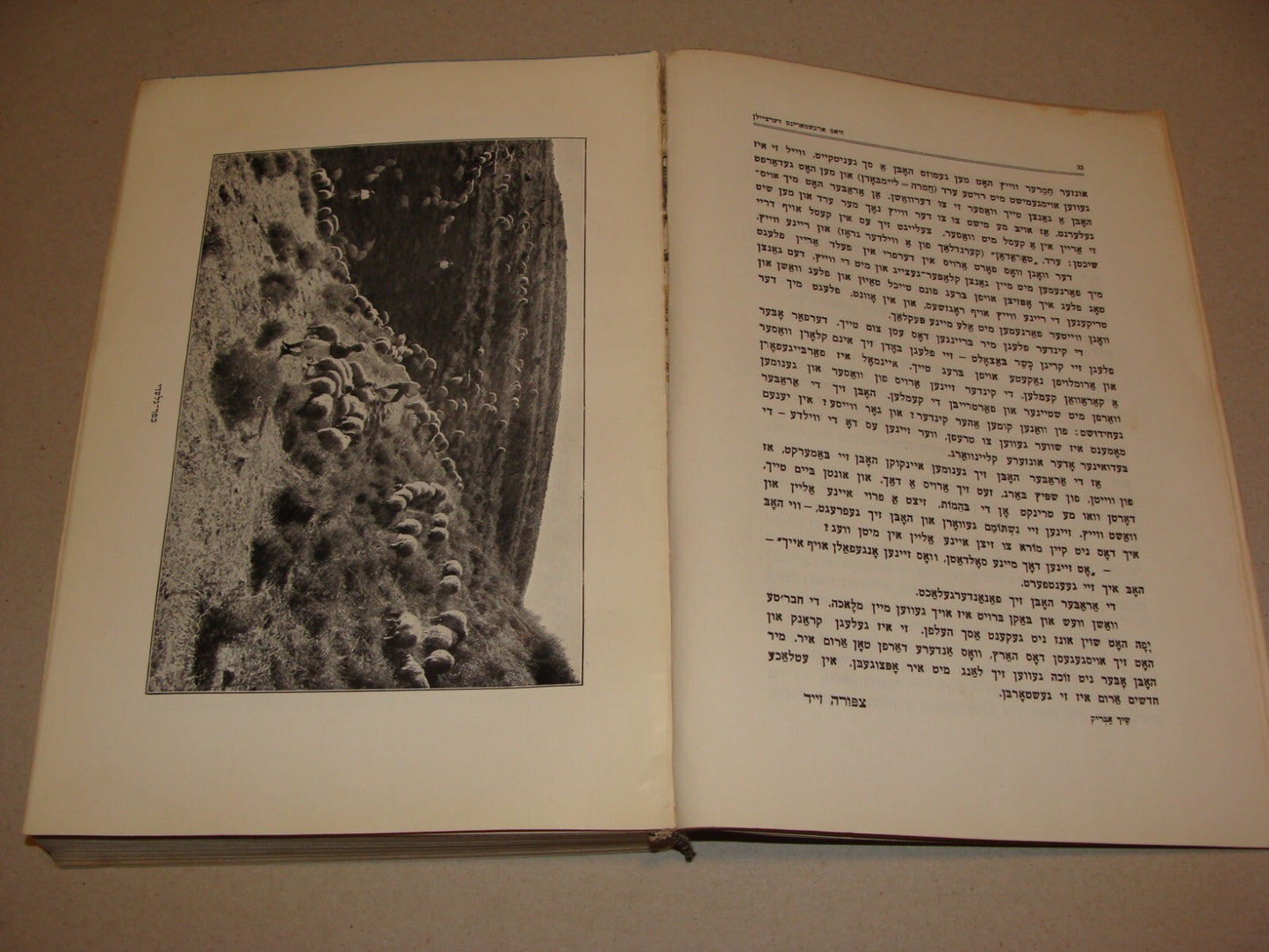 Book Jewish Judaica 1931 Palestine Israel Yiddish Zionist Women Rachel Ben Zvi