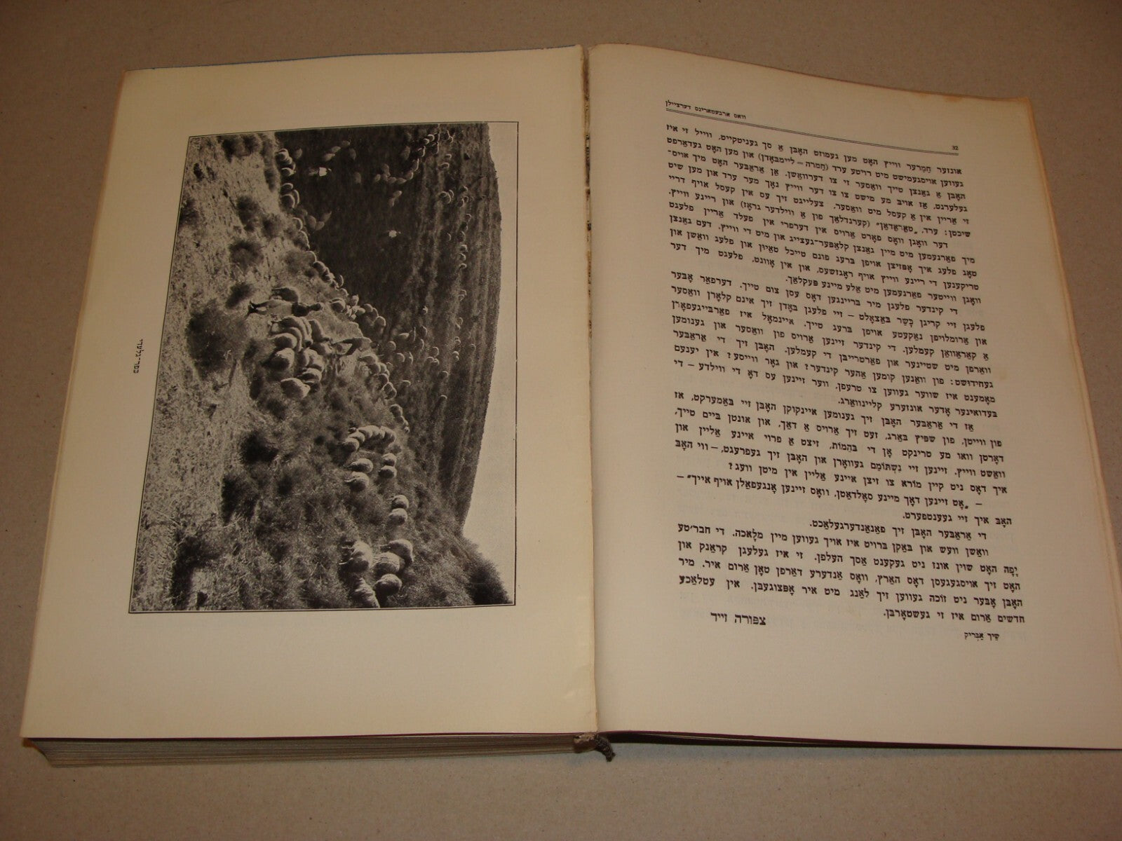 Book Jewish Judaica 1931 Palestine Israel Yiddish Zionist Women Rachel Ben Zvi