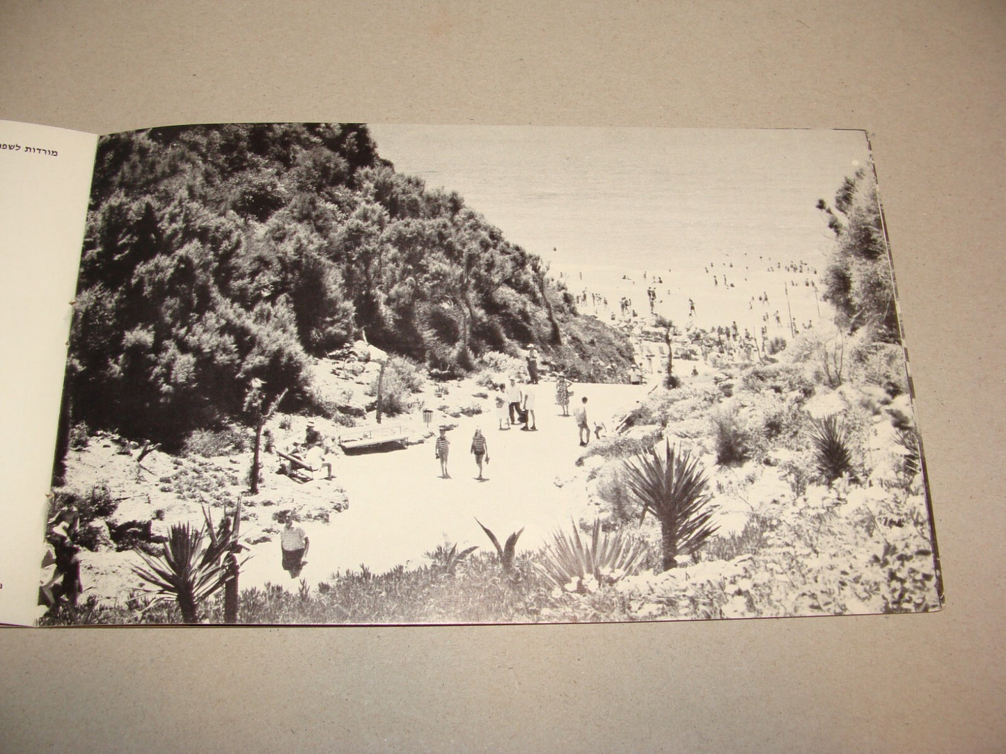 Photo Jewish 1950s Israel Israeli NATANYA Natania Guide Brochure Album Hebrew