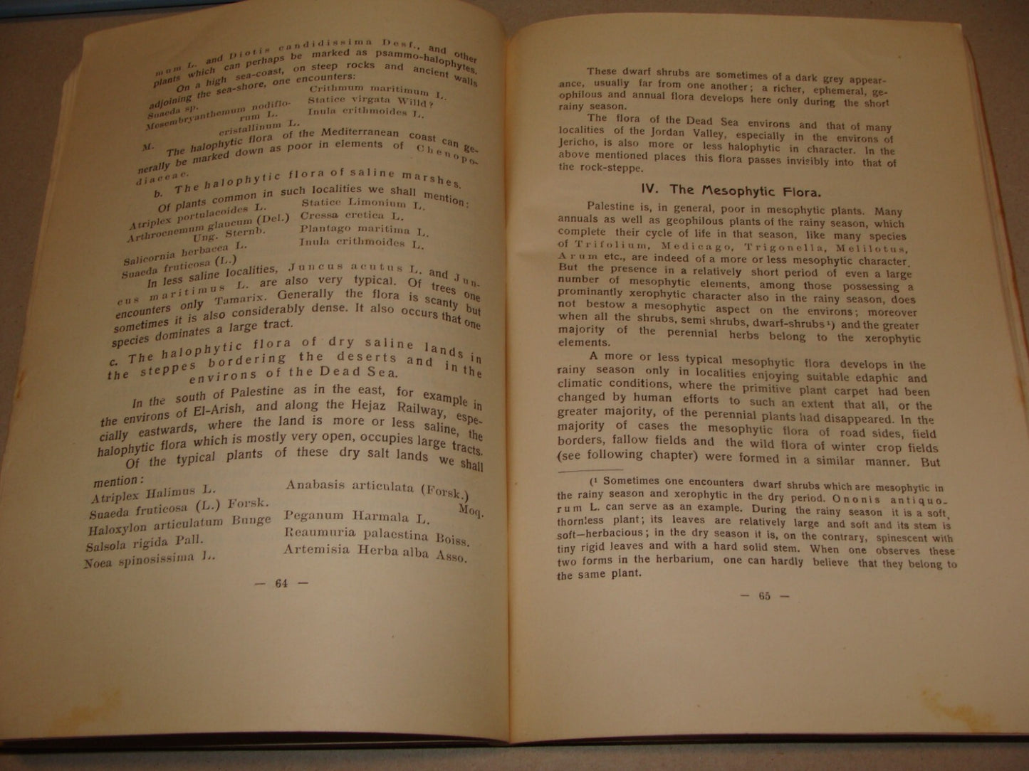 Book Jewish 1927 VEGETATION OF PALESTINE Israel EIG Agriculture Zionist Medical