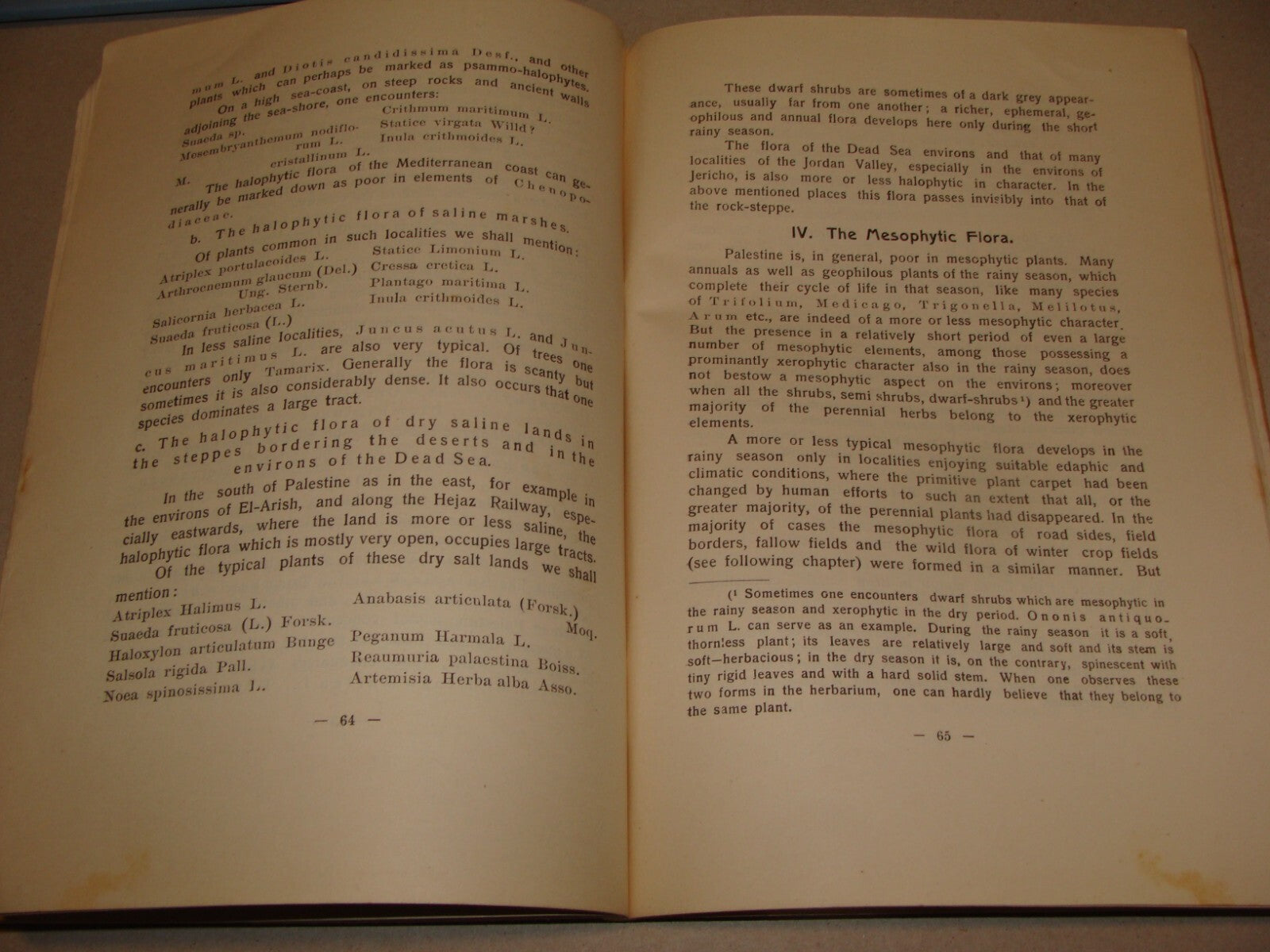 Book Jewish 1927 VEGETATION OF PALESTINE Israel EIG Agriculture Zionist Medical