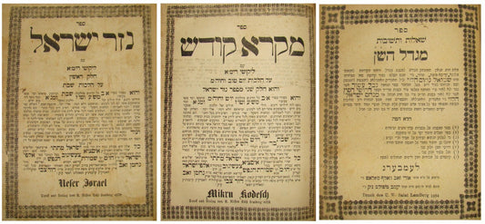 Book Jewish Judaica Nezer Israel Migdal HaShen Poland Lemberg 1878 1884