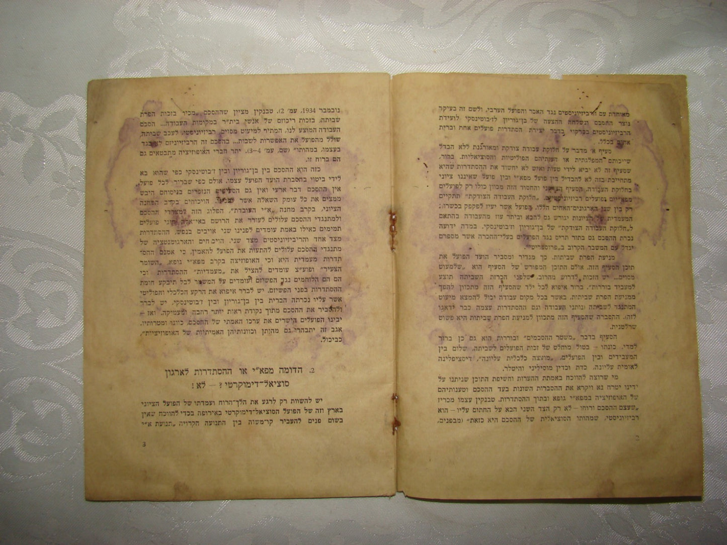 Book Jewish Palestine Israel 1935 Ben Gurion Zabotinsky Zionist Protest Betar