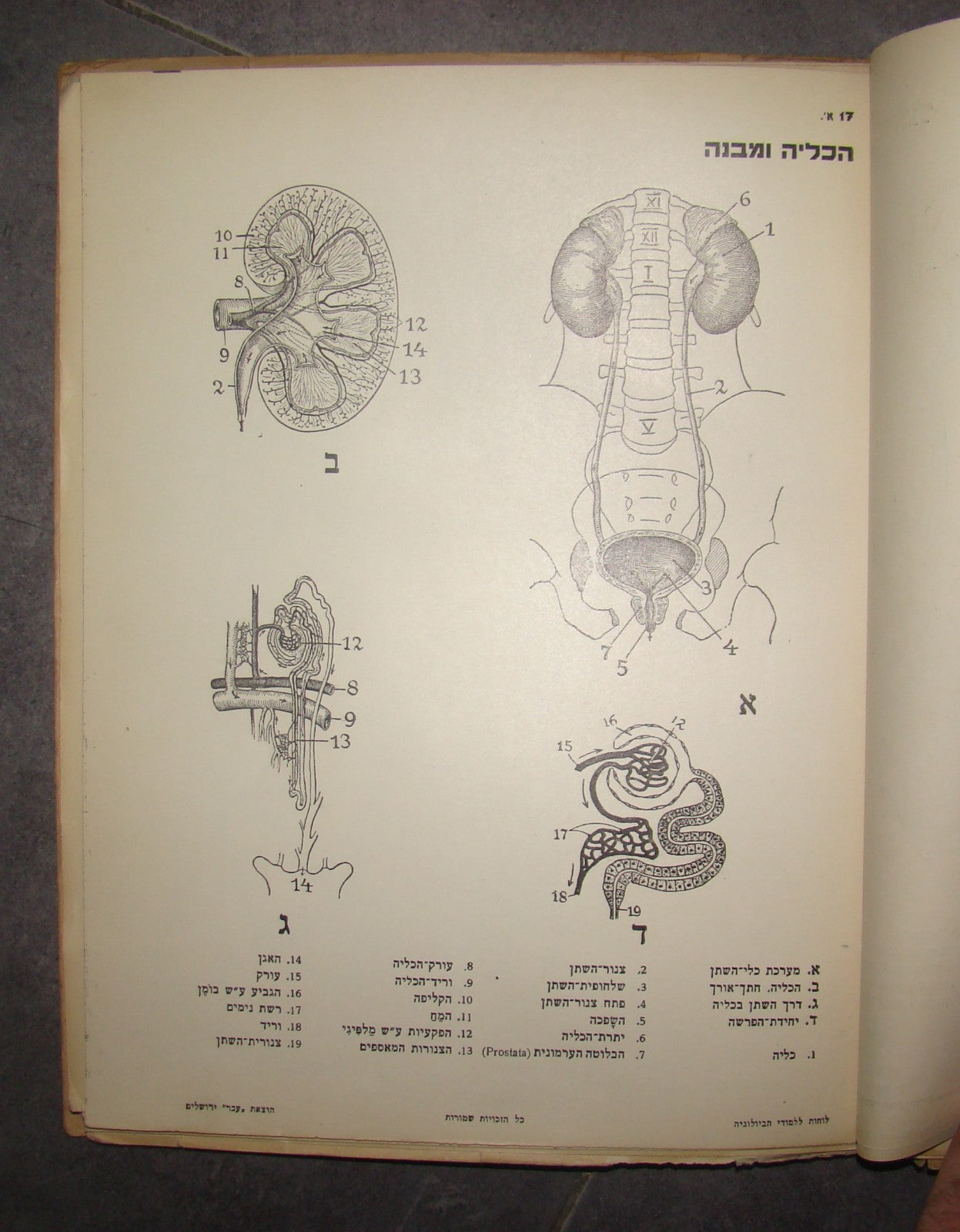 Book Jewish hebrew palestine eretz israel Biology Atlas by Ever Science Zvi Lev