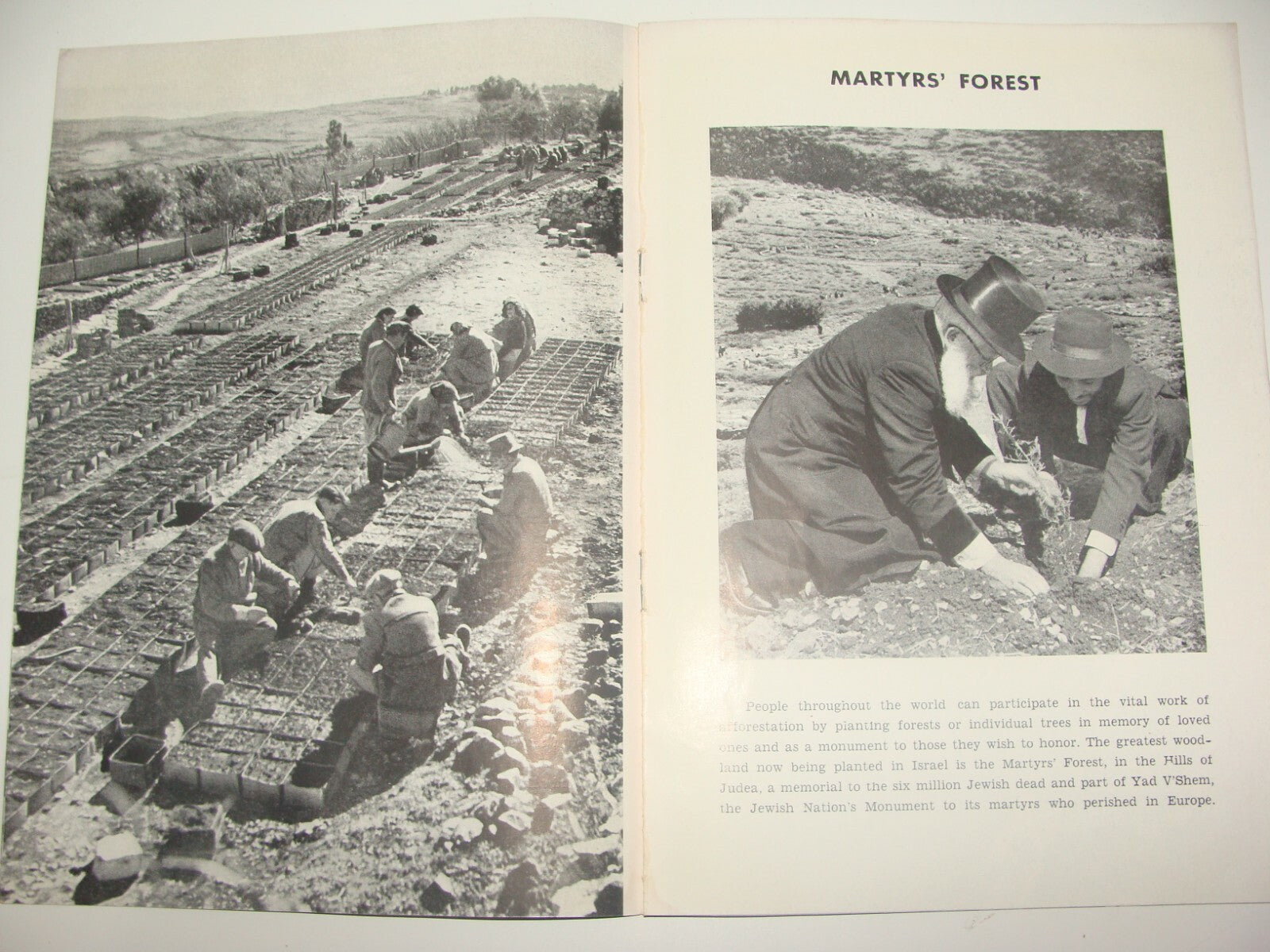 Booklet Jewish National Fund Judaica Israel Israeli 1954 Zionist JNF KKL Photos