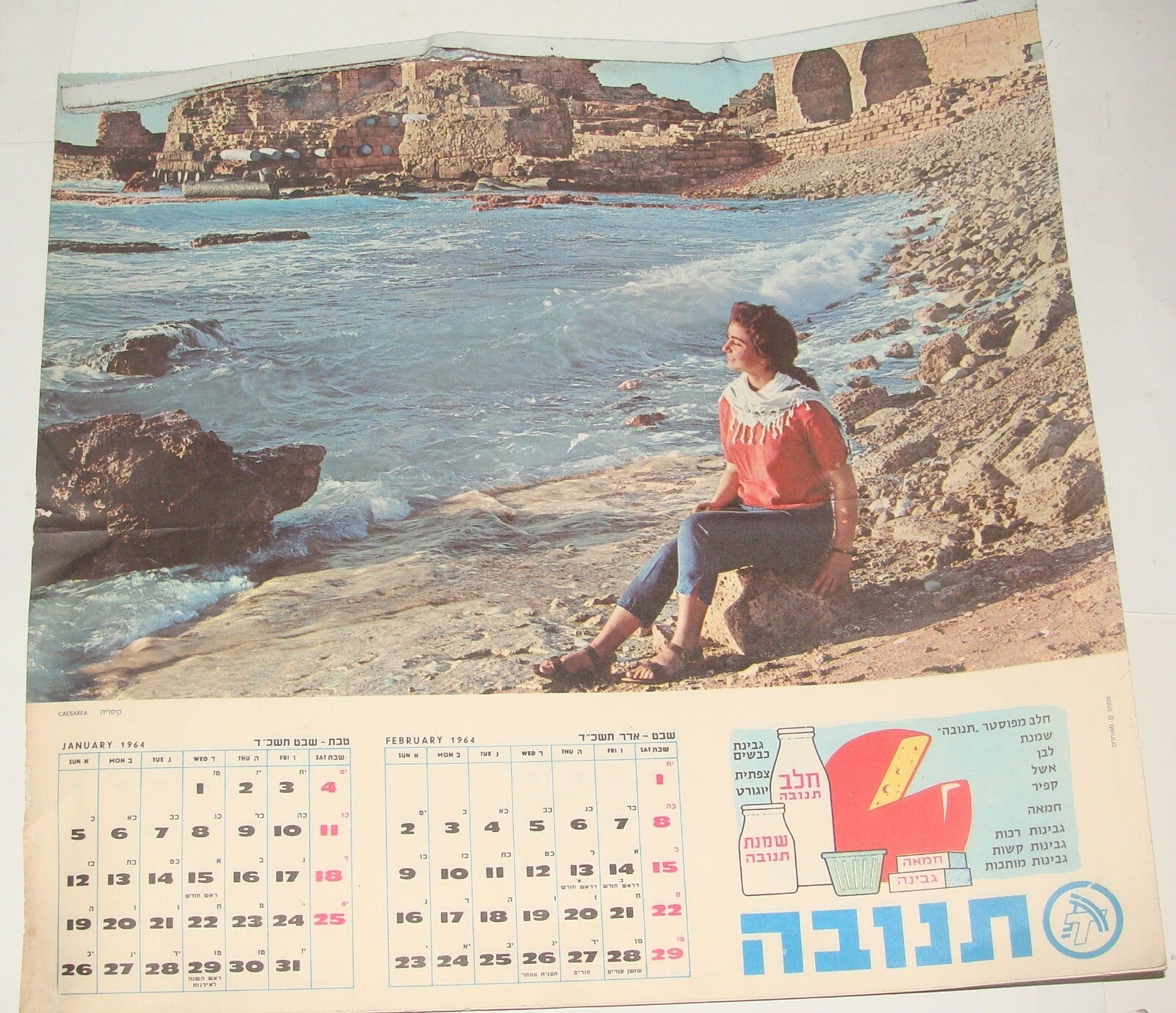 Jewish Israel Israeli Vintage 1964 Hebrew Food Company Dairy TNUVA Calendar