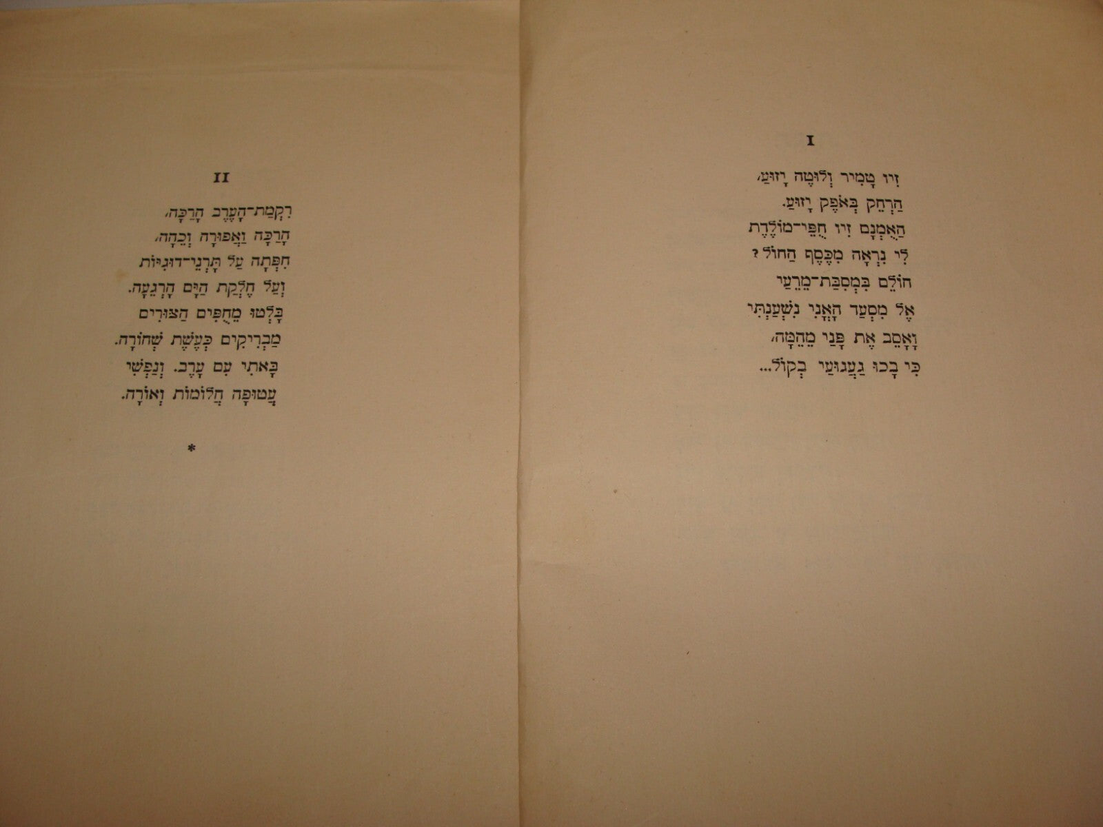 Book Jewish Judaica 1927 Palestine Israel Hebrew Poerty Poems Songs TEMKIN טמקין