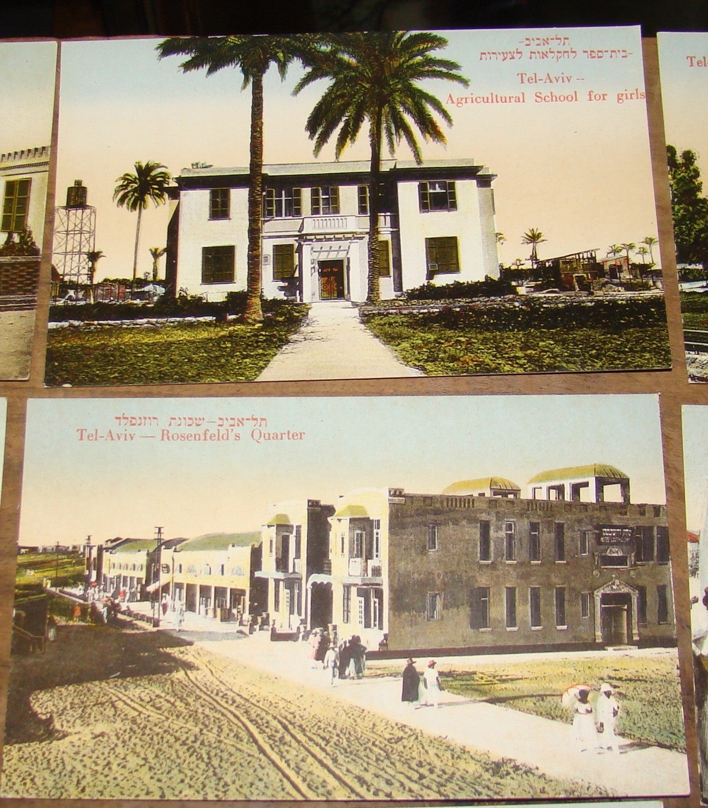 Photo Palestine Card judaica jewish Israel Moshe Ordmann postcard TEL AVIV ארדמן