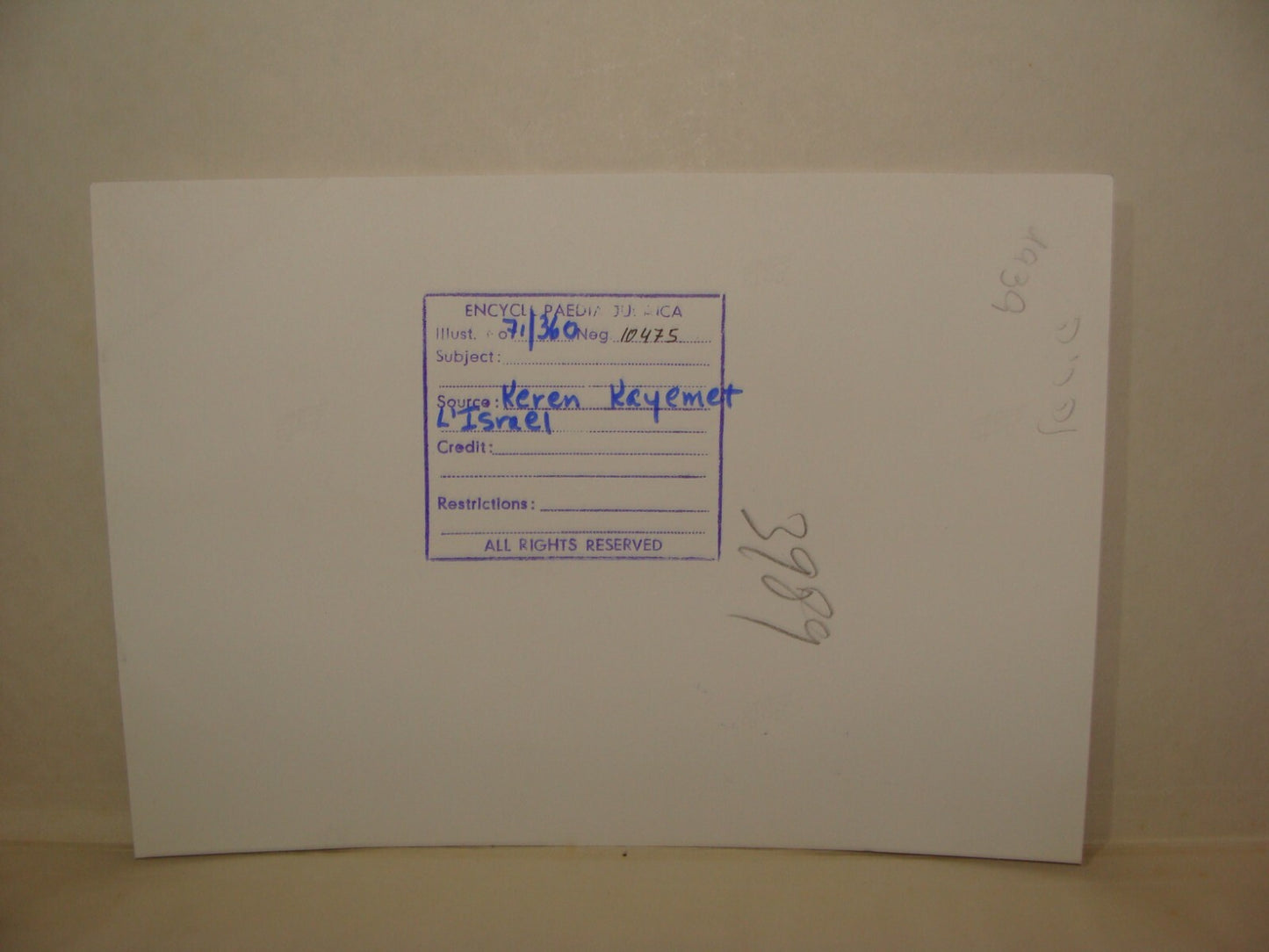 Photo Print, 1939 Palestine Israel Nahariya City KKL JNF