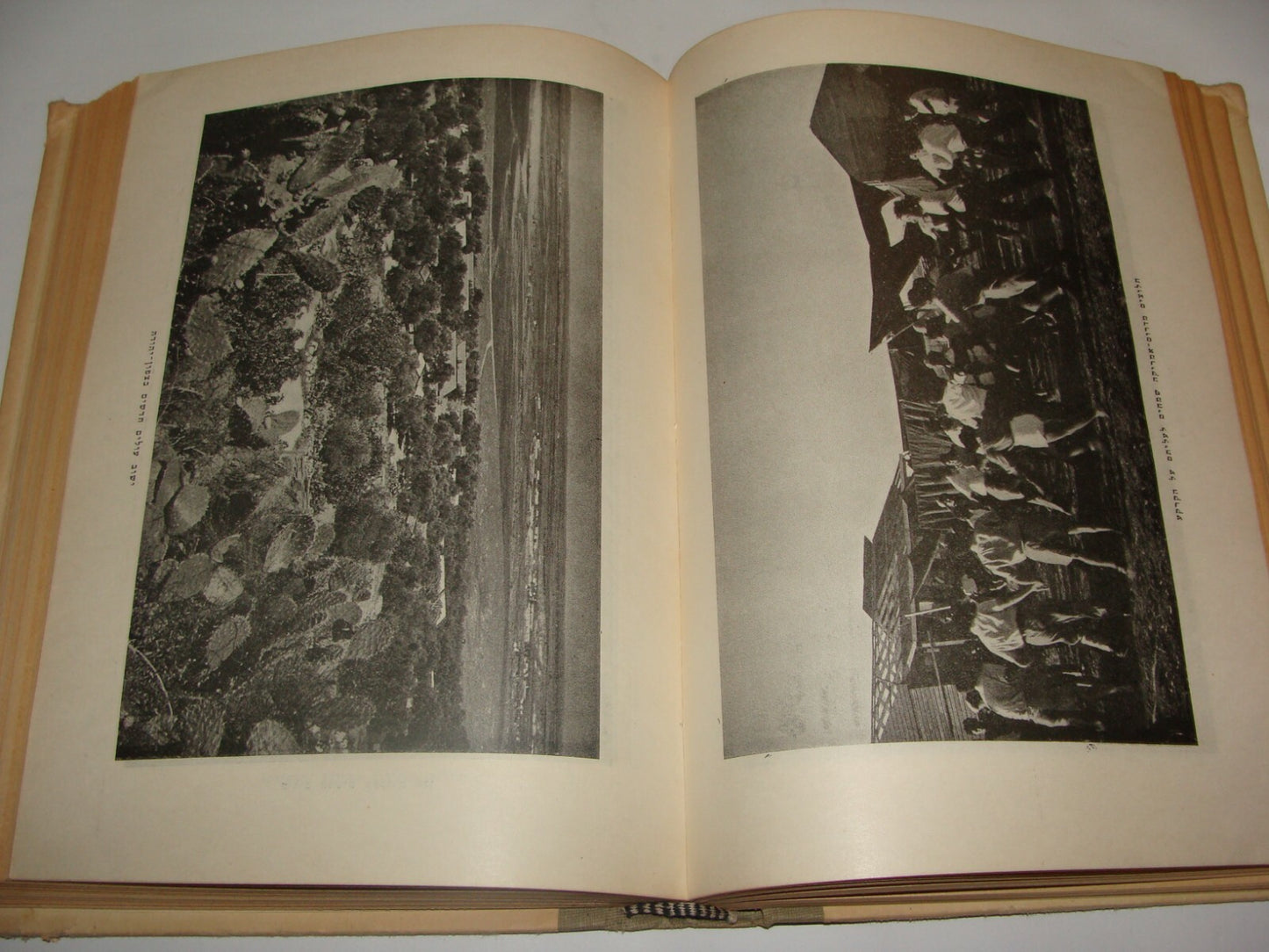 Book Jewish 1950 Judaica National Fund Zionist Hebrew Agriculture Photo Art