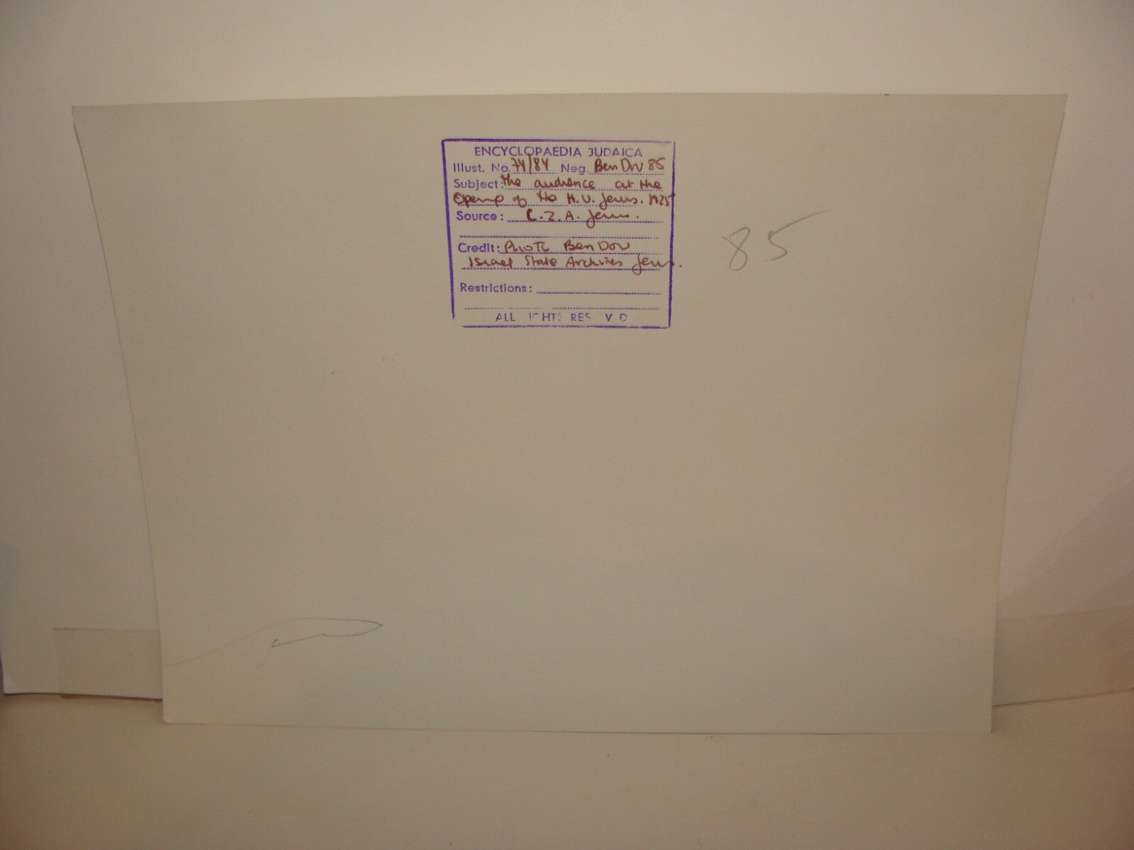 Photo Print, 1925 Jewish Judaica Palestine Israel Jerusalem Hebrew University