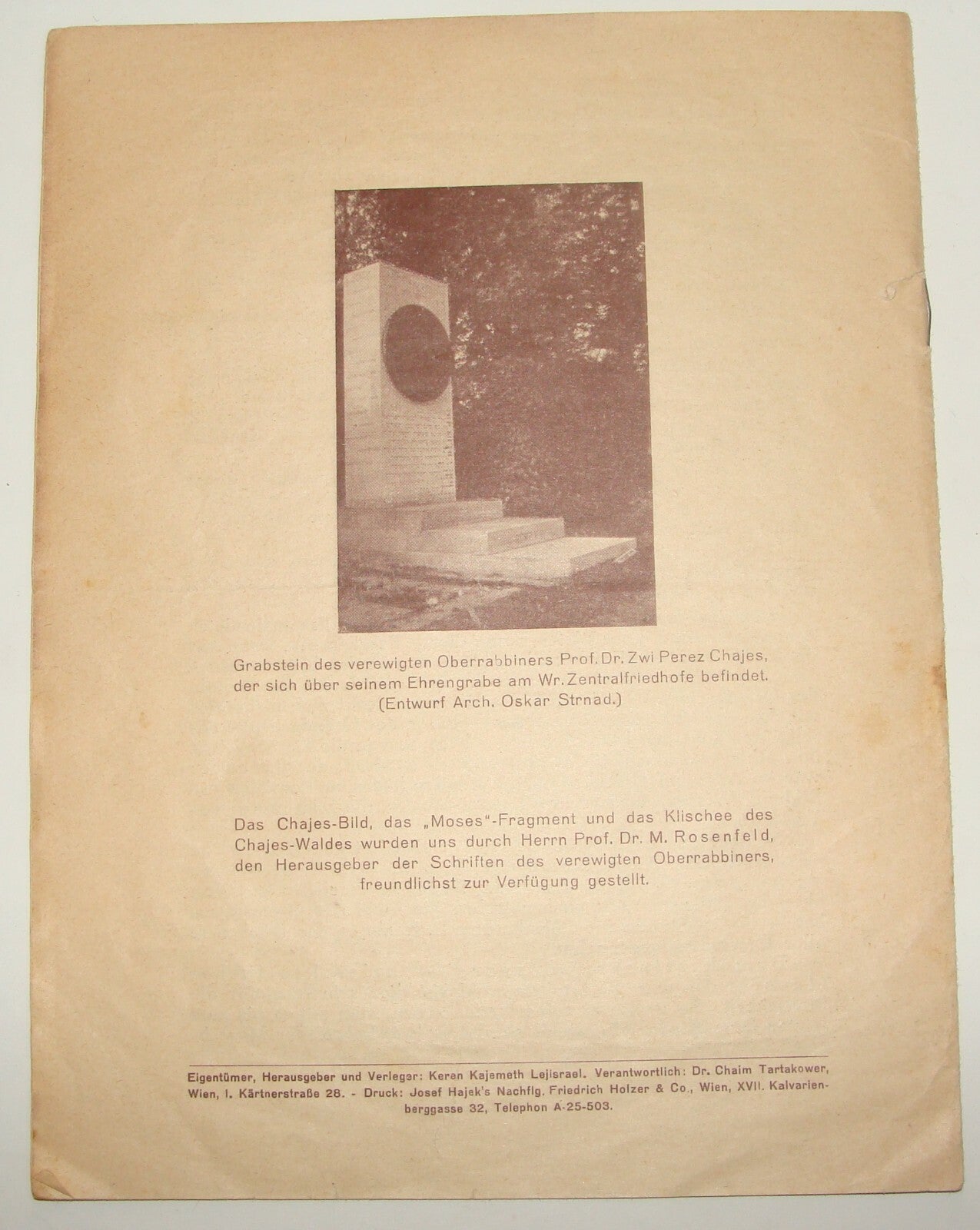 National Fund Palestine Judaica Jewish 1933 Israel Zionist German Austria Wien