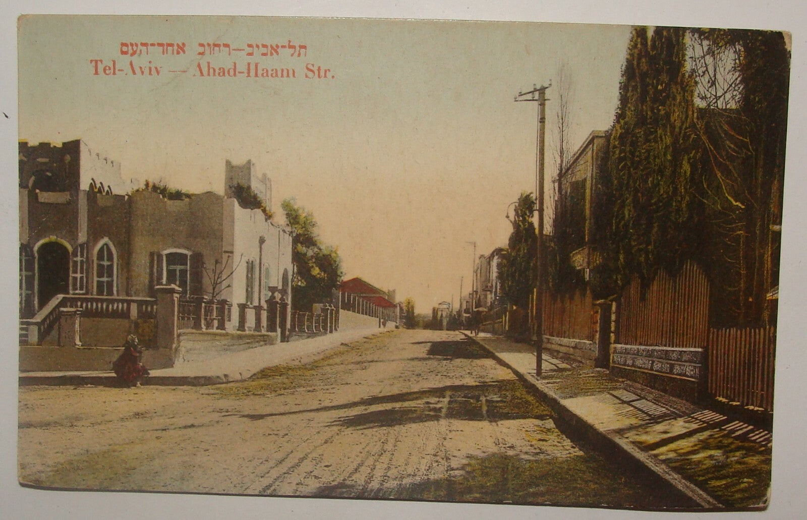 Photo Palestine Card Jewish Judaica Israel Tel Aviv Street Postcard Ordmann