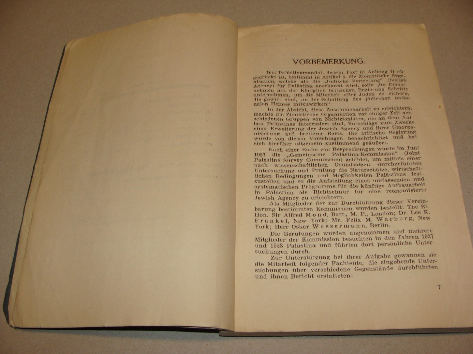 Report Palestine RARE 1928 London Joint Survey Commission German Jewish Zionist