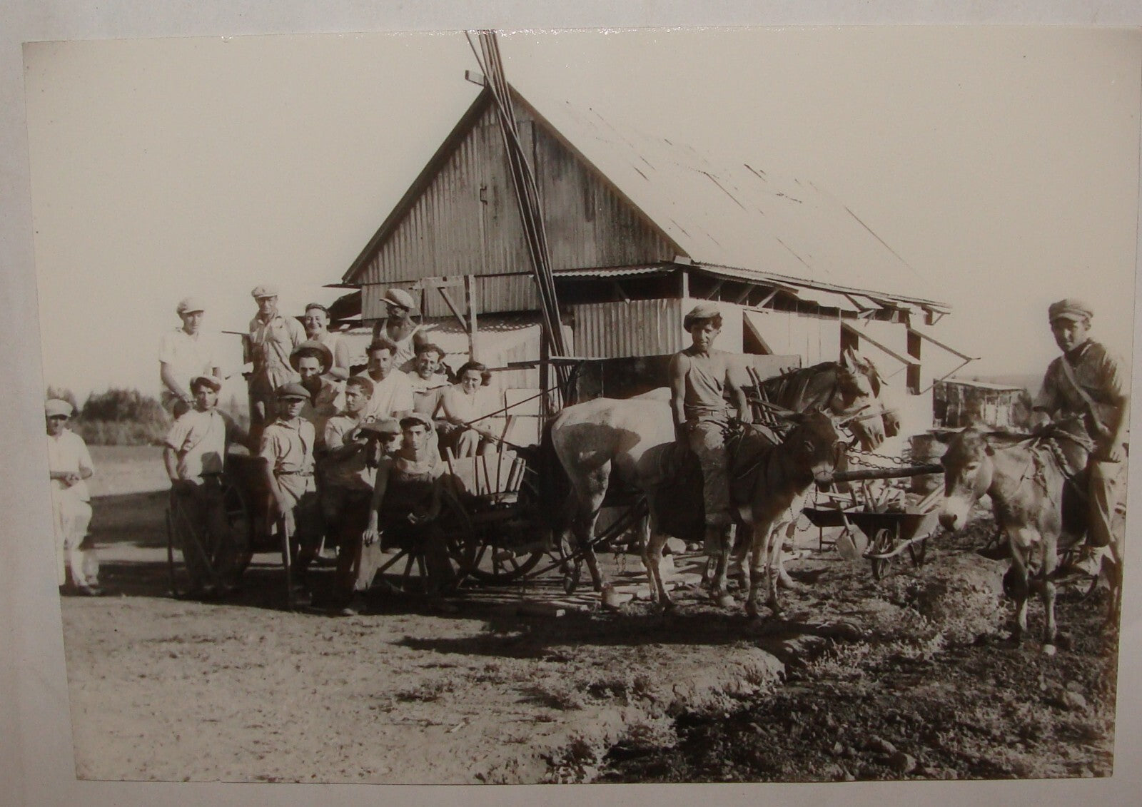 Photo Print, 1938 Palestine Israel KIBBUTZ KFAR RUPPIN Jewish HASHOMER Hebrew