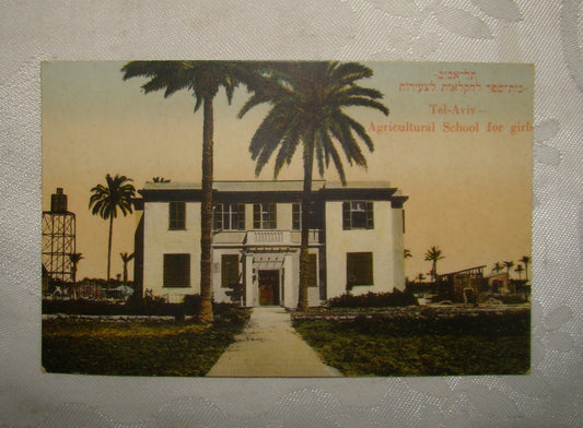 Photo Palestine Card judaica jewish Israel Moshe Ordmann postcard Tel Aviv ארדמן