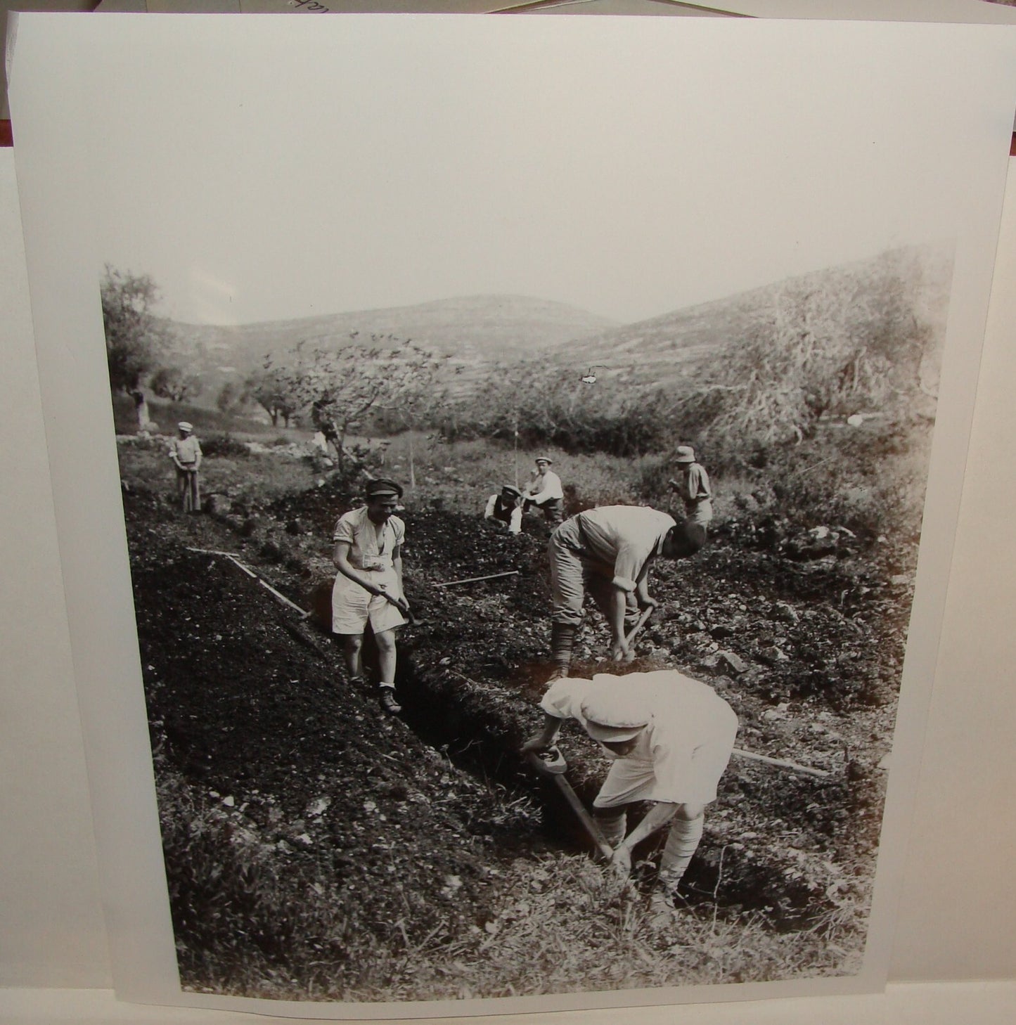 Photo Print Palestine MATSON , 1930s Israel Jewish Hebrew Settlement Pioneers