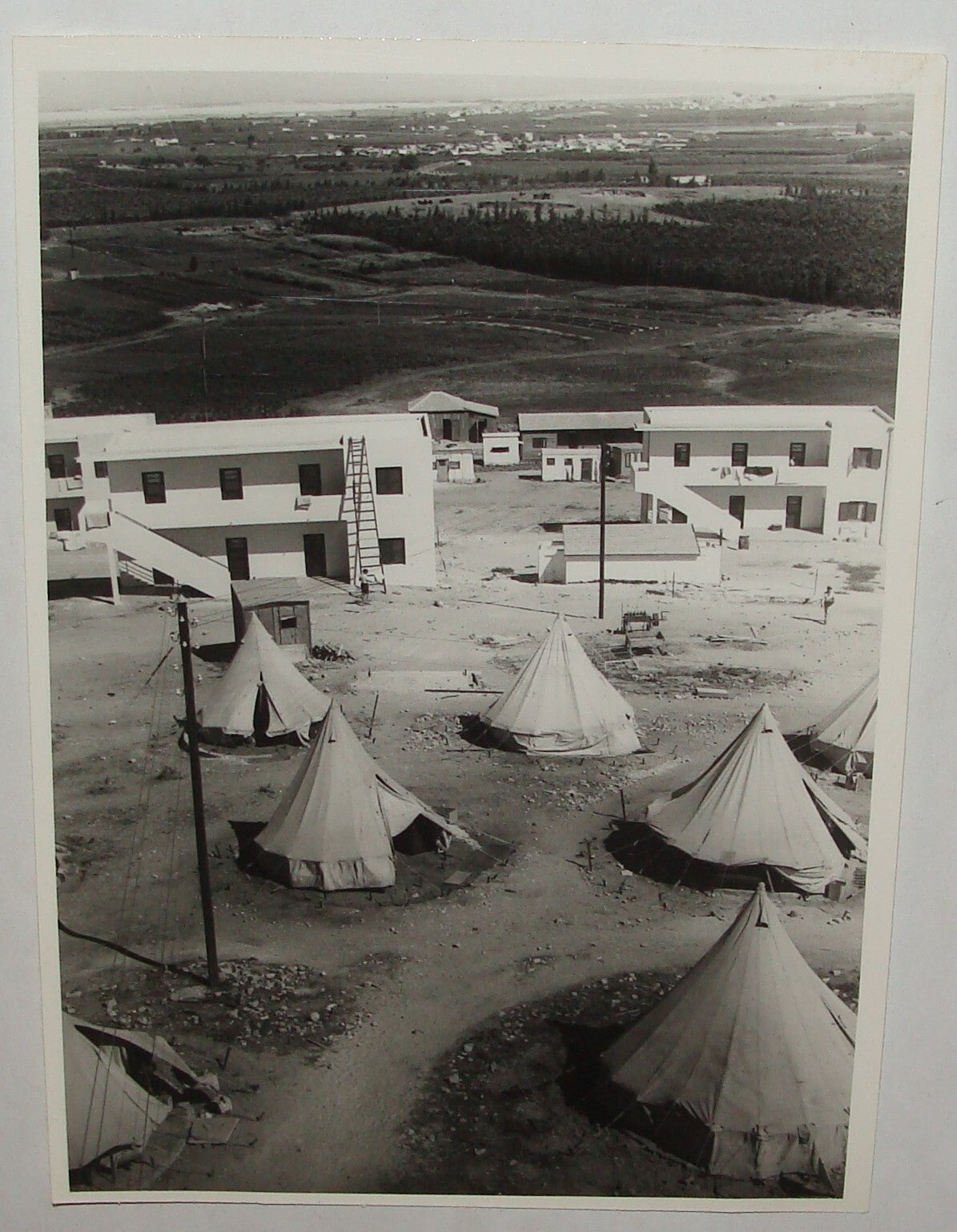 Photo Print, 1936 Palestine Israel KIBBUTZ GIVAT BRENNER Jewish Hebrew