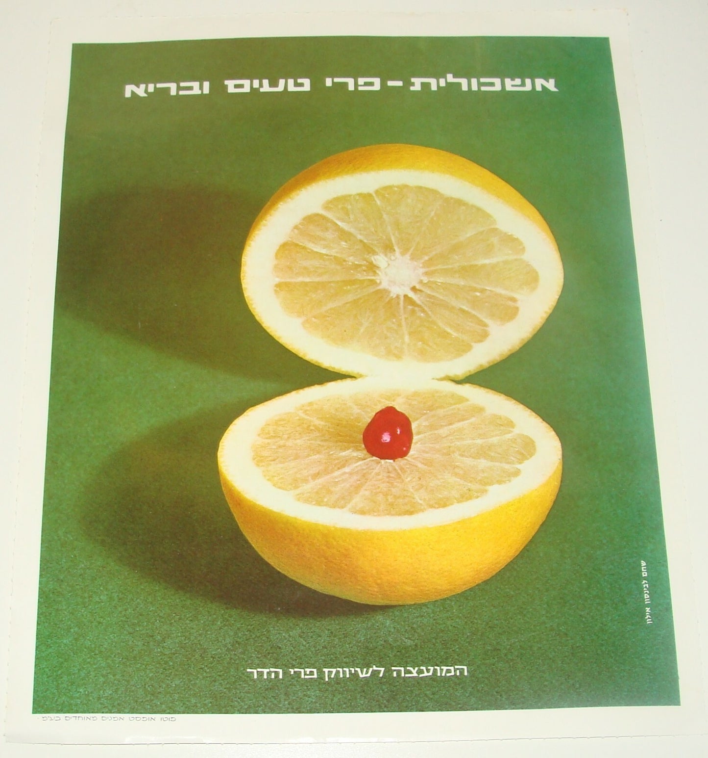 Ad Jewish Hebrew Israel Israeli Vintage Poster Lot Fruit Orange Citrus Zionist