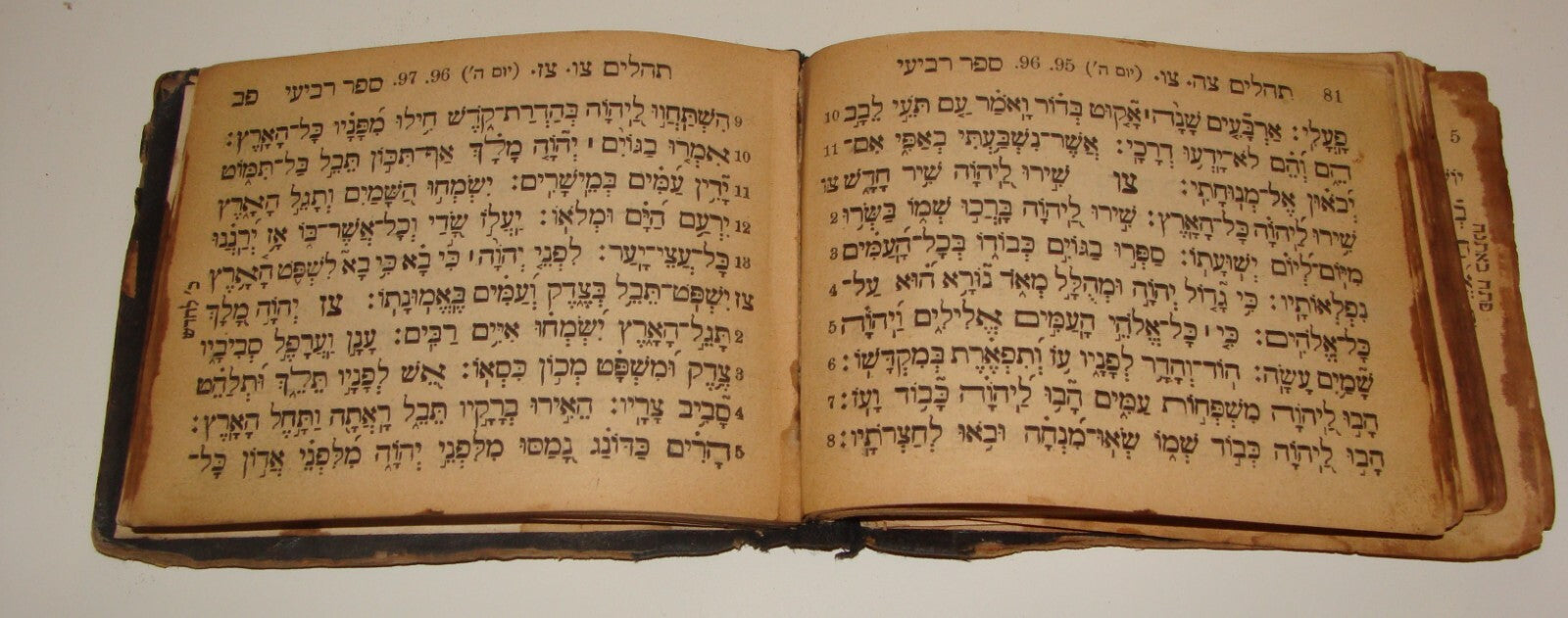 Book Jewish Judaica Rabbi Tehilim Psalms Rodelheim ? Hebrew Pocket Size