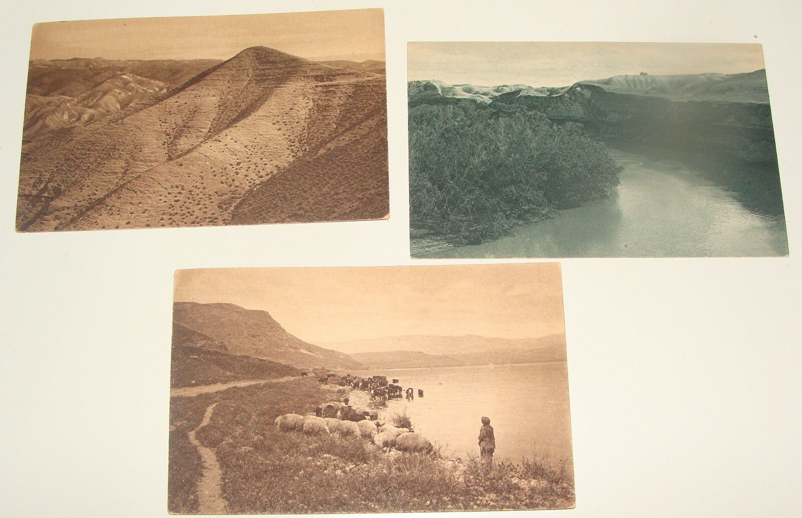 Photo Palestine Card Jewish Judaica Israel 1930s Postcard KINNERET LAKE JORDAN