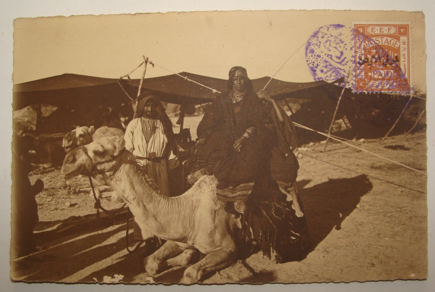 Photo Palestine Card Palestinian Israel Real Postcard Arab Arabic Bedouin Desert