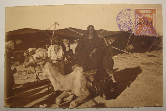 Photo Palestine Card Palestinian Israel Real Postcard Arab Arabic Bedouin Desert