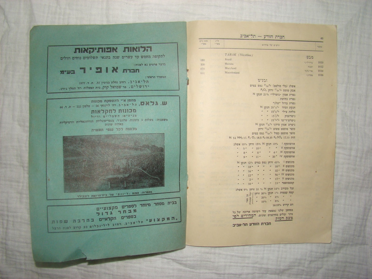 Book Jewish hebrew 1938 palestine eretz israel Hazorea Company Agriculture