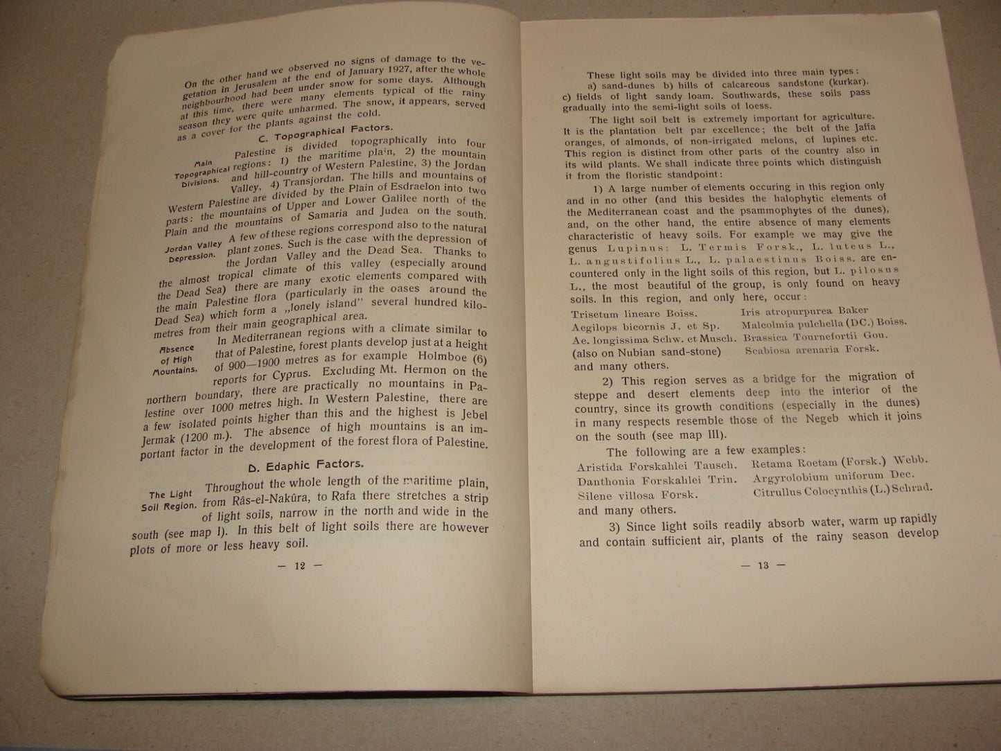 Book Jewish 1927 VEGETATION OF PALESTINE Israel EIG Agriculture Zionist Medical