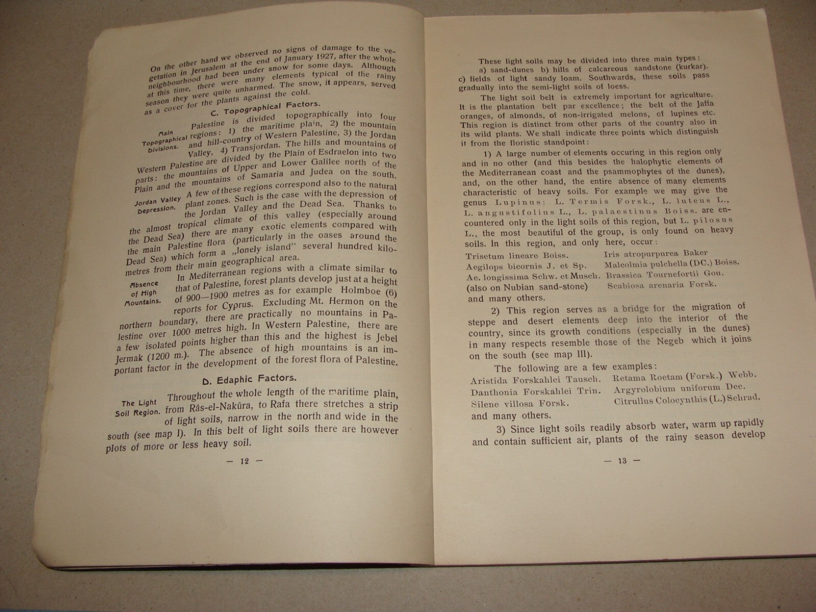 Book Jewish 1927 VEGETATION OF PALESTINE Israel EIG Agriculture Zionist Medical