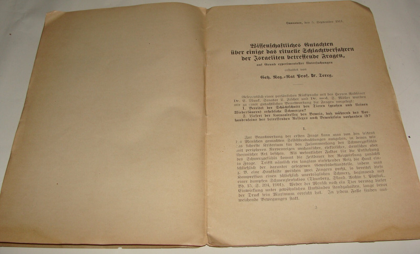 Germany Paper Jewish Judaica Antique 1911 German   Jews Slaughter Kosher Ritual