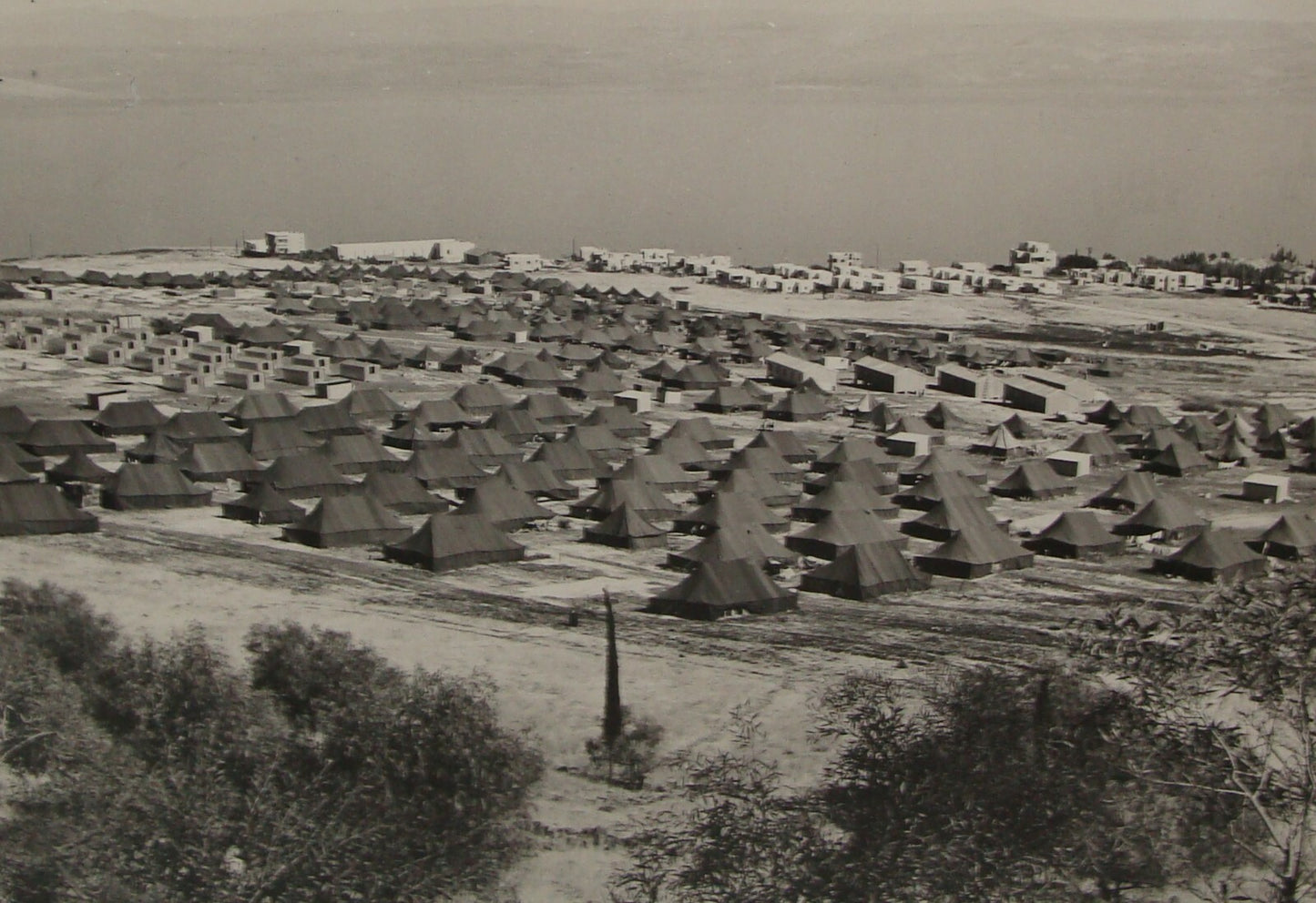 Photo Print 1950 Israel Israeli Immigrant Tents Absorption Camp Tiberias Refugee