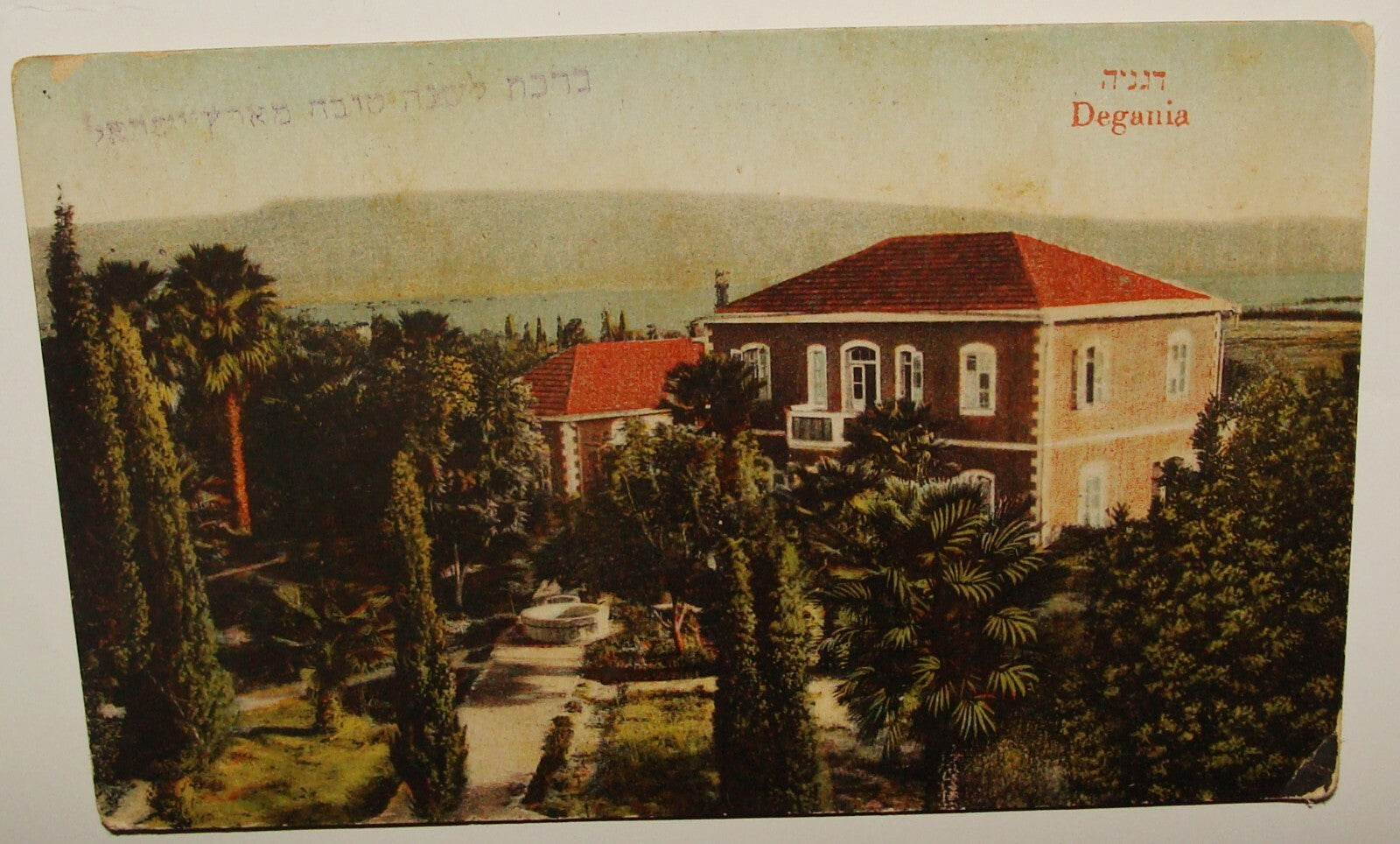 Photo Palestine Card Jewish Israel Kibbutz DEGANIA Postcard Ordmann New Year