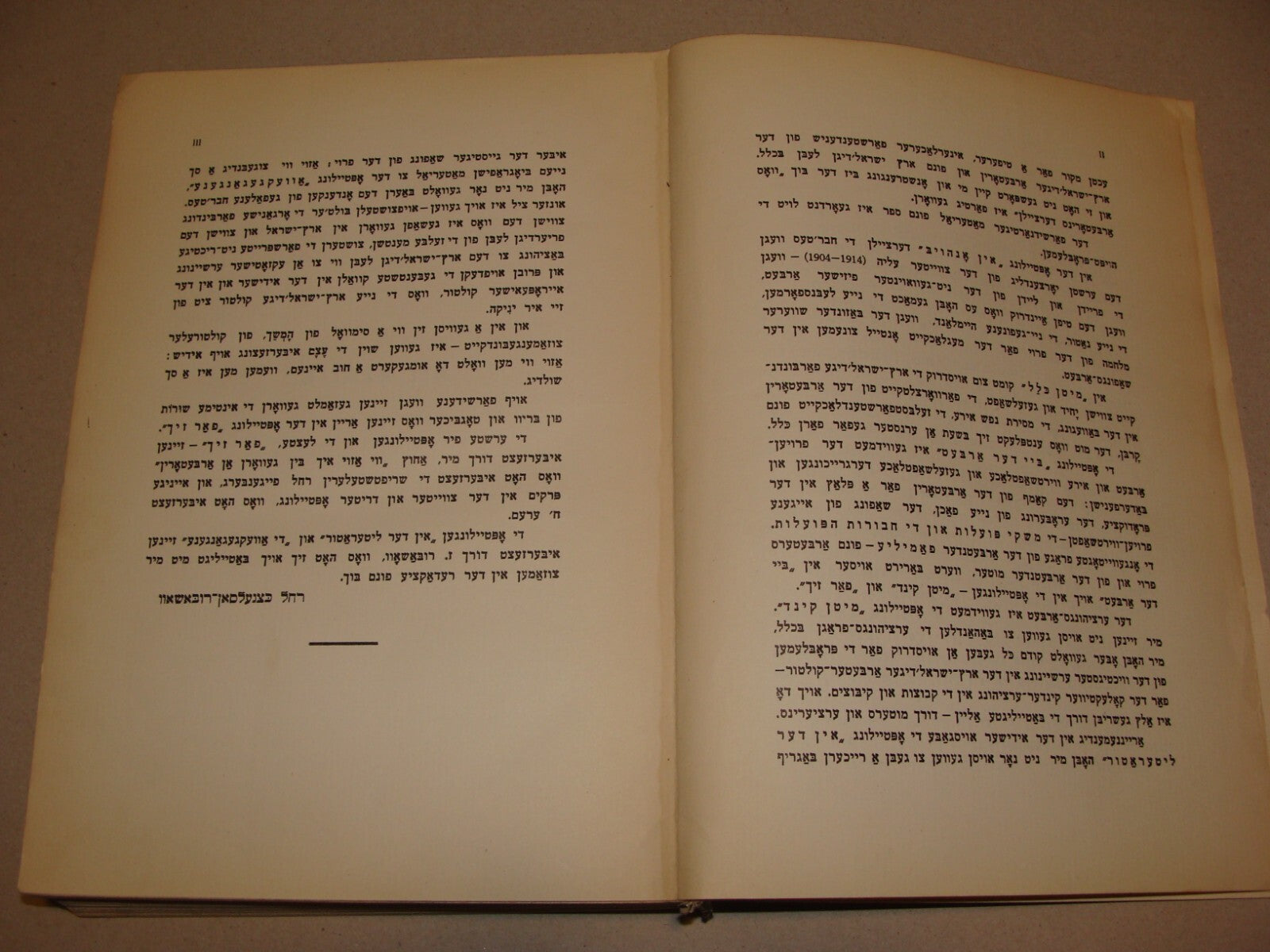 Book Jewish Judaica 1931 Palestine Israel Yiddish Zionist Women Rachel Ben Zvi