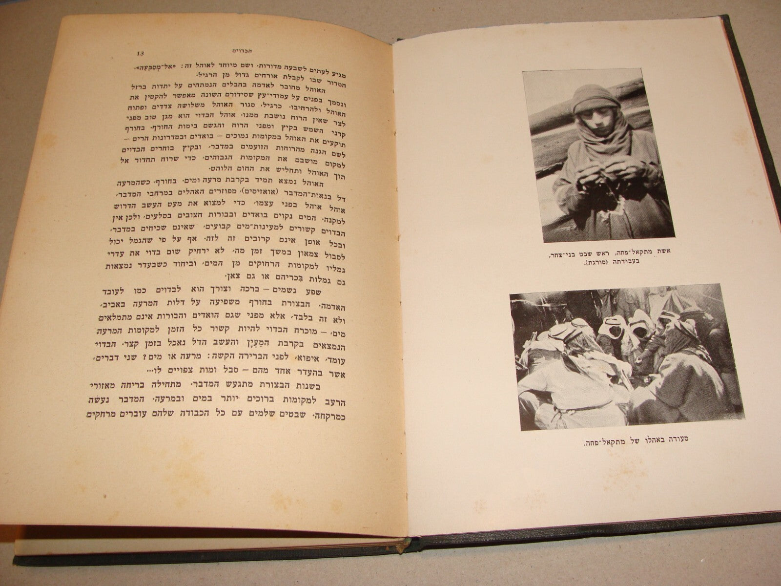 Book Palestine 1933 Israel Hebrew Arab Arabic Bedouin History Culture Folklore