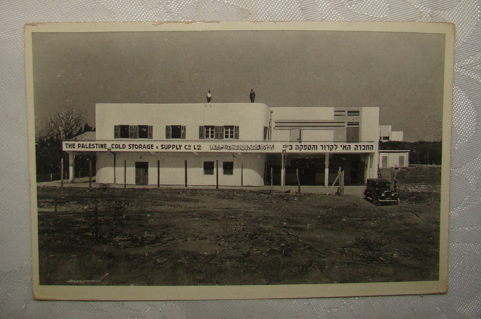 Photo Palestine Card Jewish Judaica Hebrew Israel Postcard Haifa Cold Company