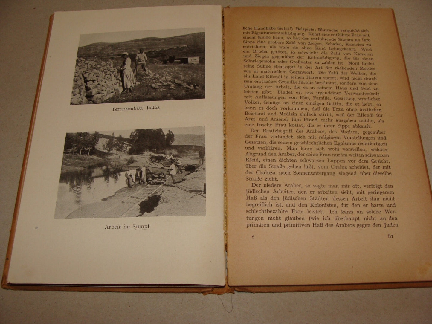 RARE 1922 Travel Book JEWISH PALESTINE Photo Album Map Germany Holitscher Israel