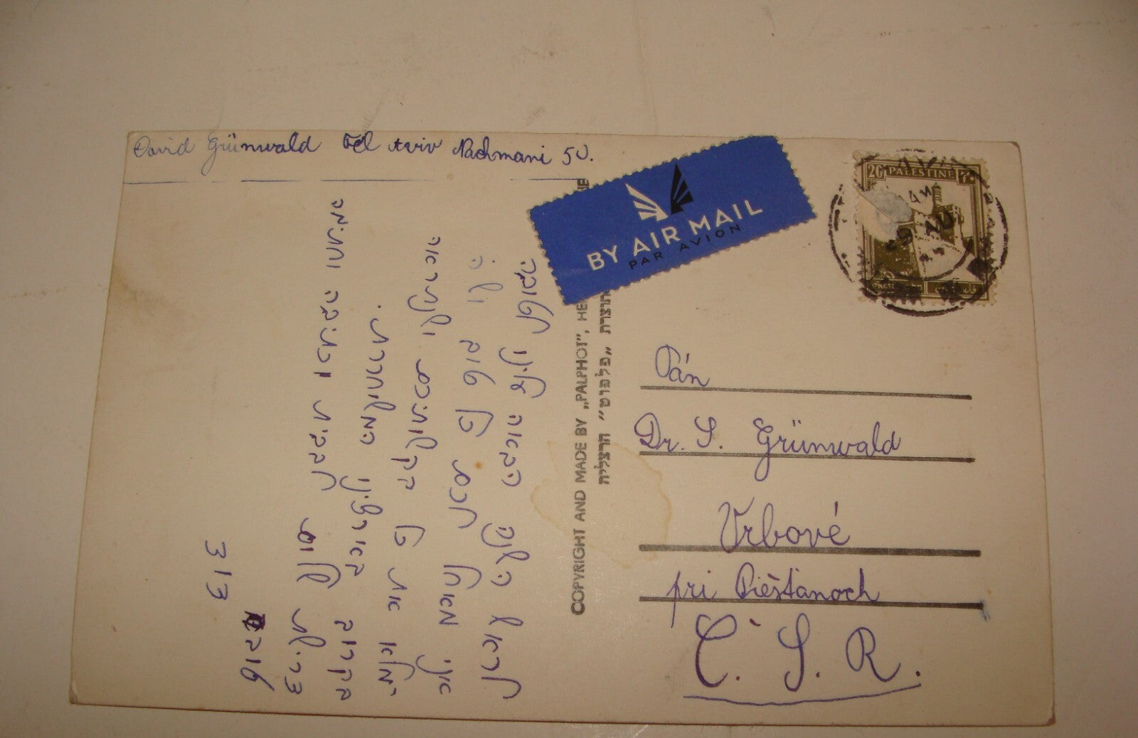 Photo Palestine Card Jewish Judaica Israel Hebrew TEL AVIV Postcard New Year