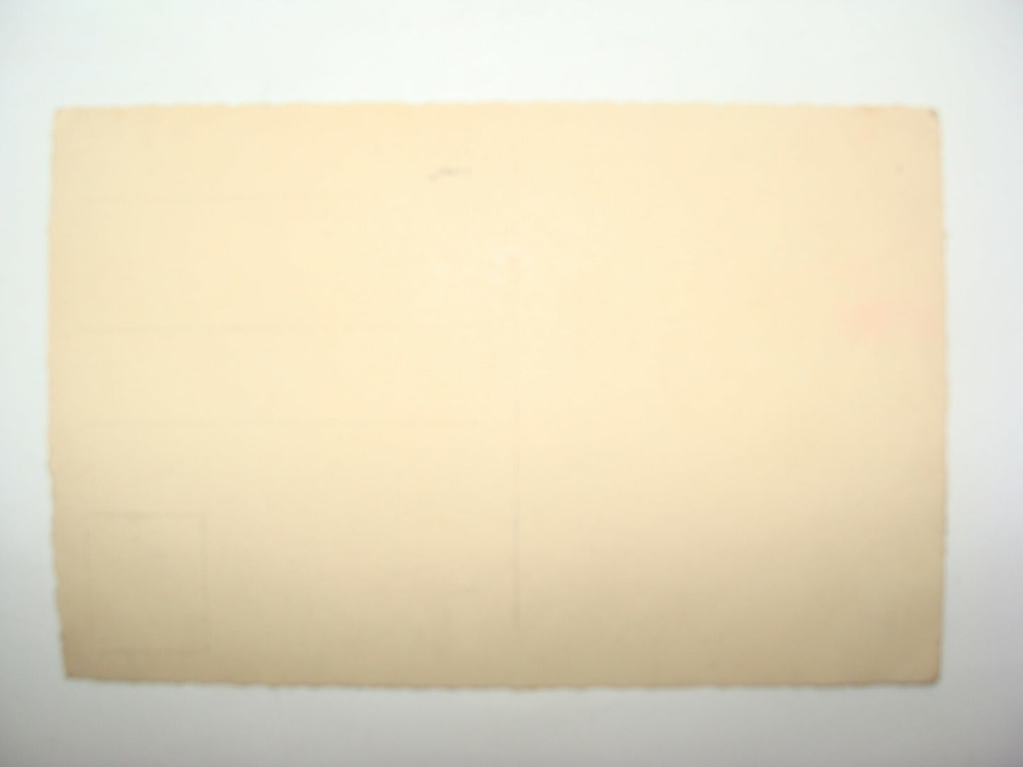 Photo Palestine Card Palestinian Israel Real Postcard Arab Arabic Bedouin Desert