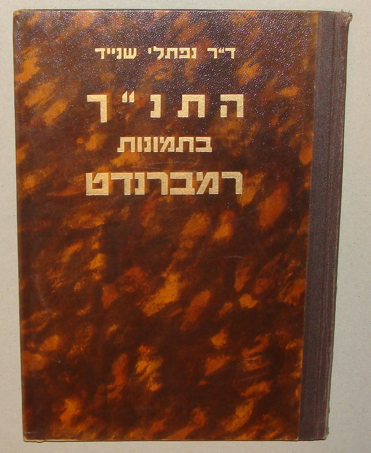 Book Jewish Hebrew 1947 Palestine Israel REMBRANDT Bible Biblical Art Painting