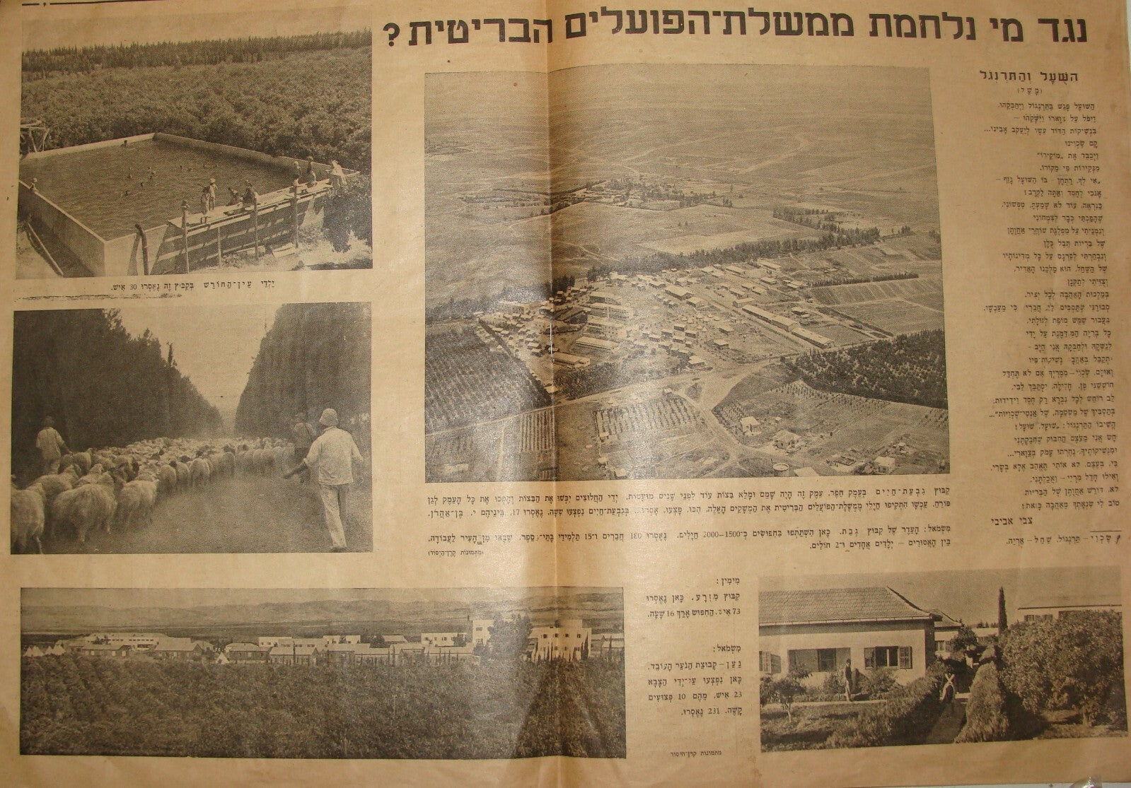 Newspaper Palestine Jewish Israel 1946 Hebrew Zionist British Black Sabbath